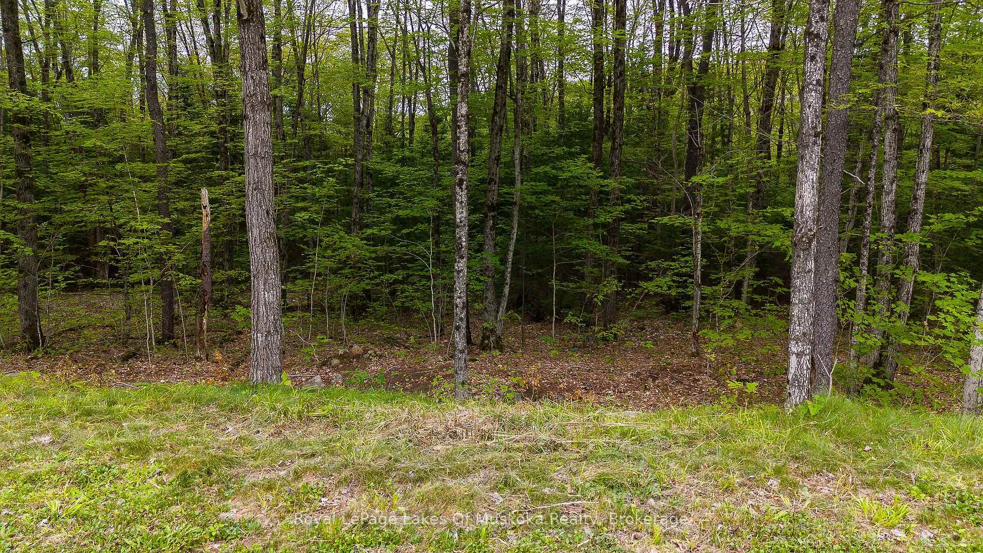 Photo 4 of Lot 11 Millie's Way, Armour — HOMEH