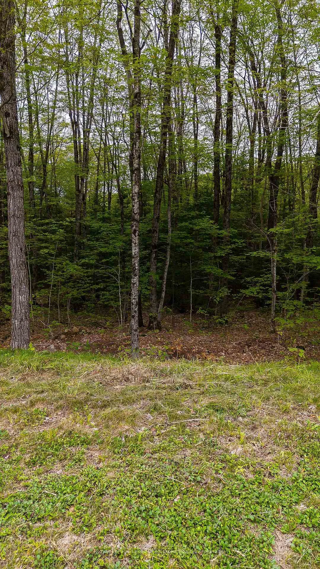 Photo 22 of Lot 11 Millie's Way, Armour — HOMEH