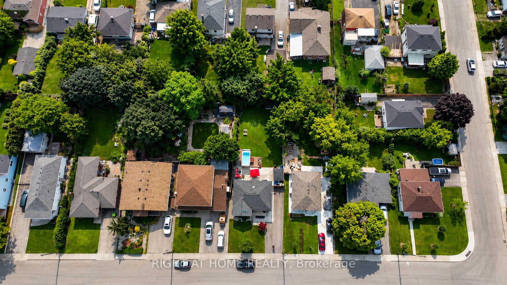 Photo 34 of 31 Dorothy Street, Hamilton, Balfour — HOMEH