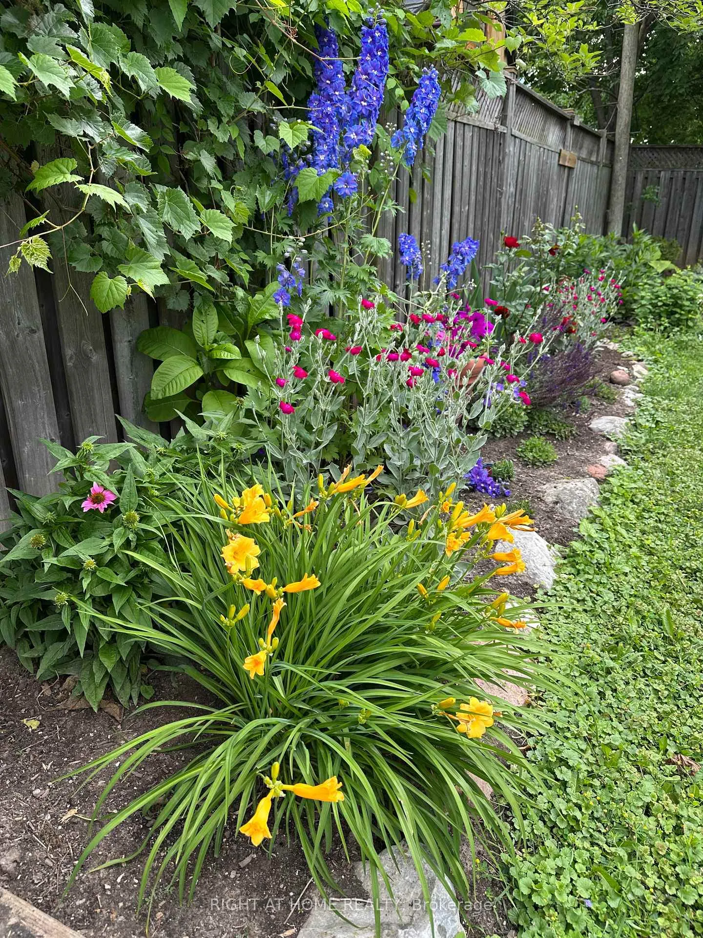 Photo 38 of 31 Dorothy Street, Hamilton, Balfour — HOMEH