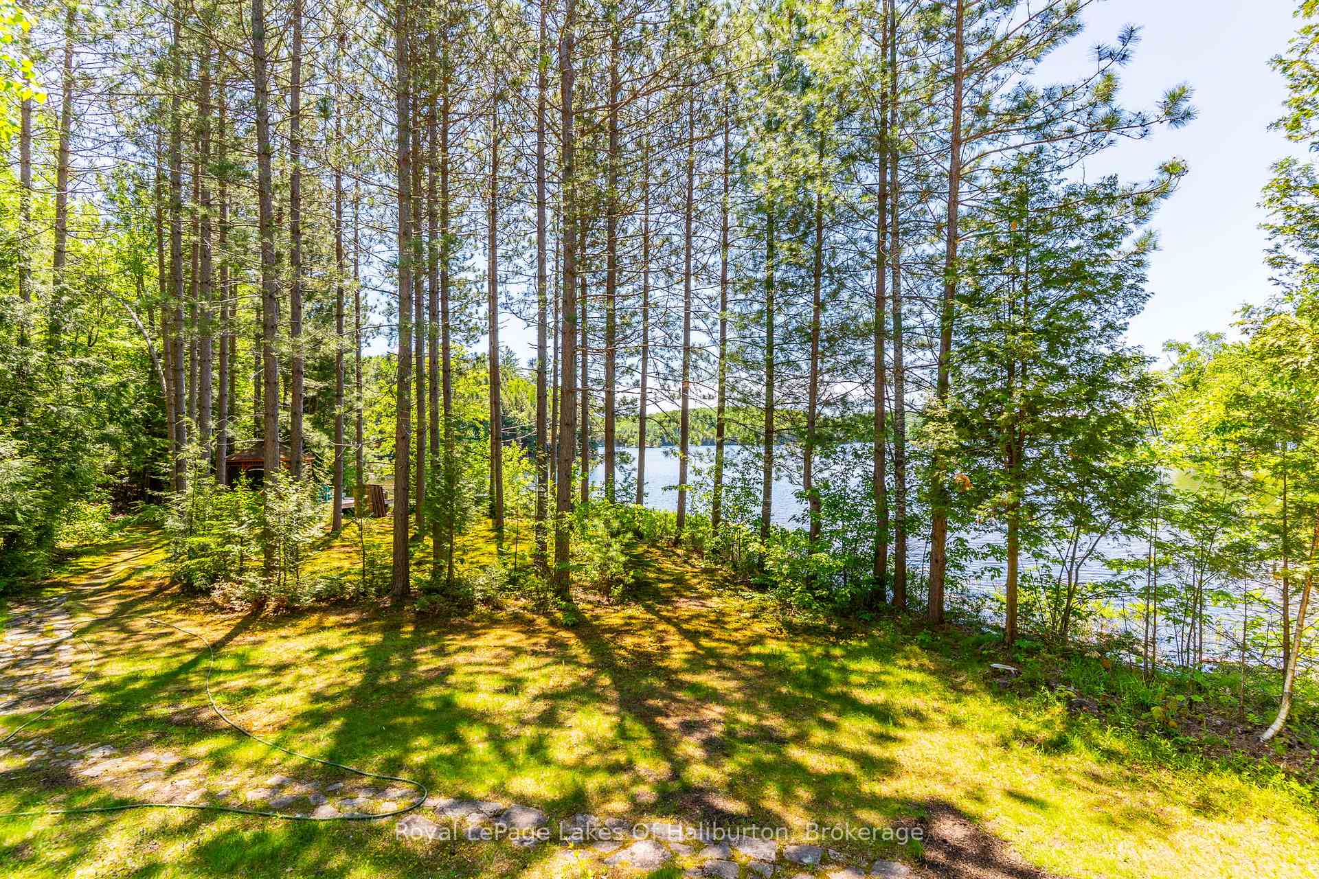 Photo 6 of 1349 Trellis Trail, Minden Hills, Anson — HOMEH