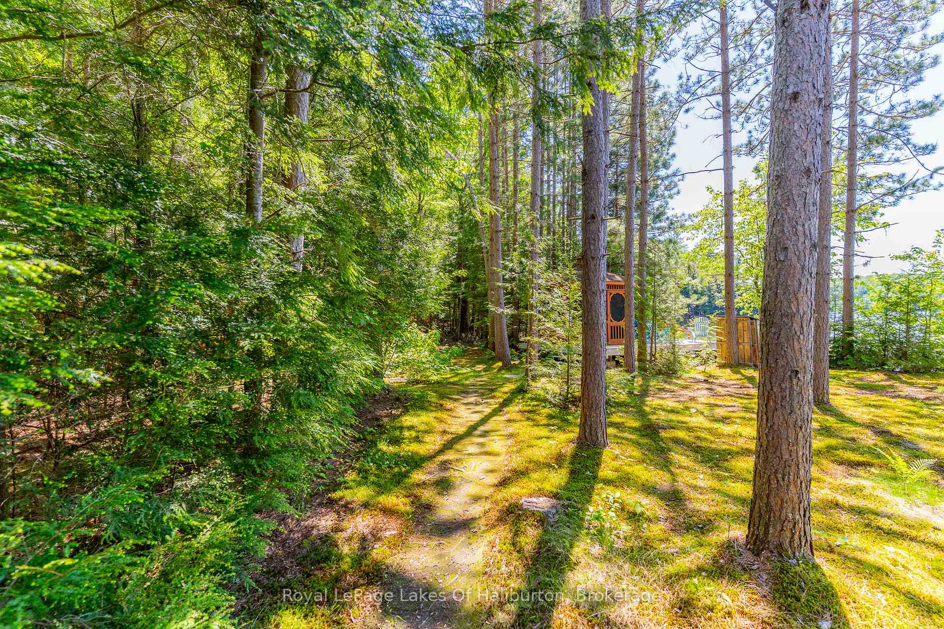 Photo 39 of 1349 Trellis Trail, Minden Hills, Anson — HOMEH