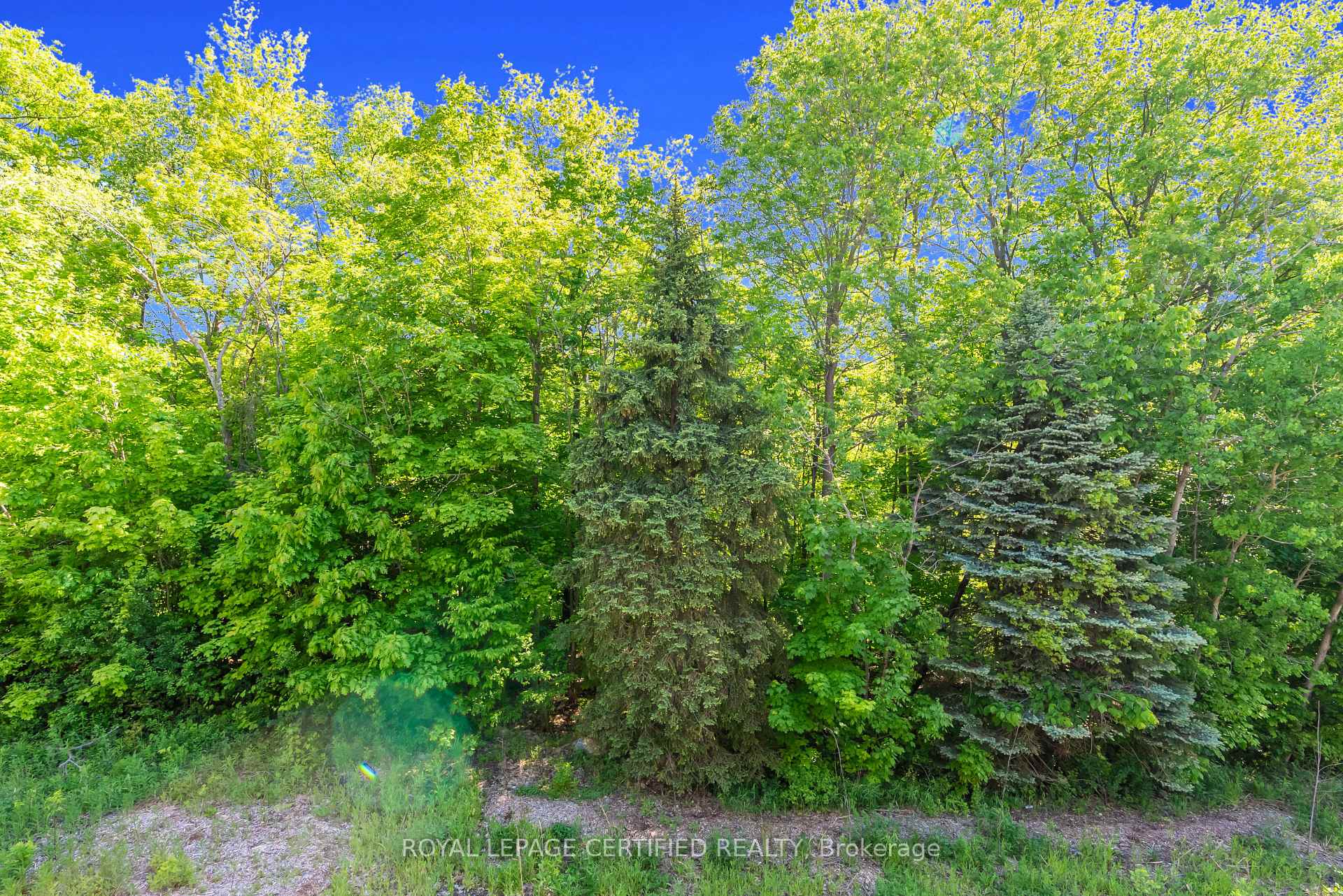 Photo 12 of 45 Folcroft Street, Brampton, Credit Valley — HOMEH