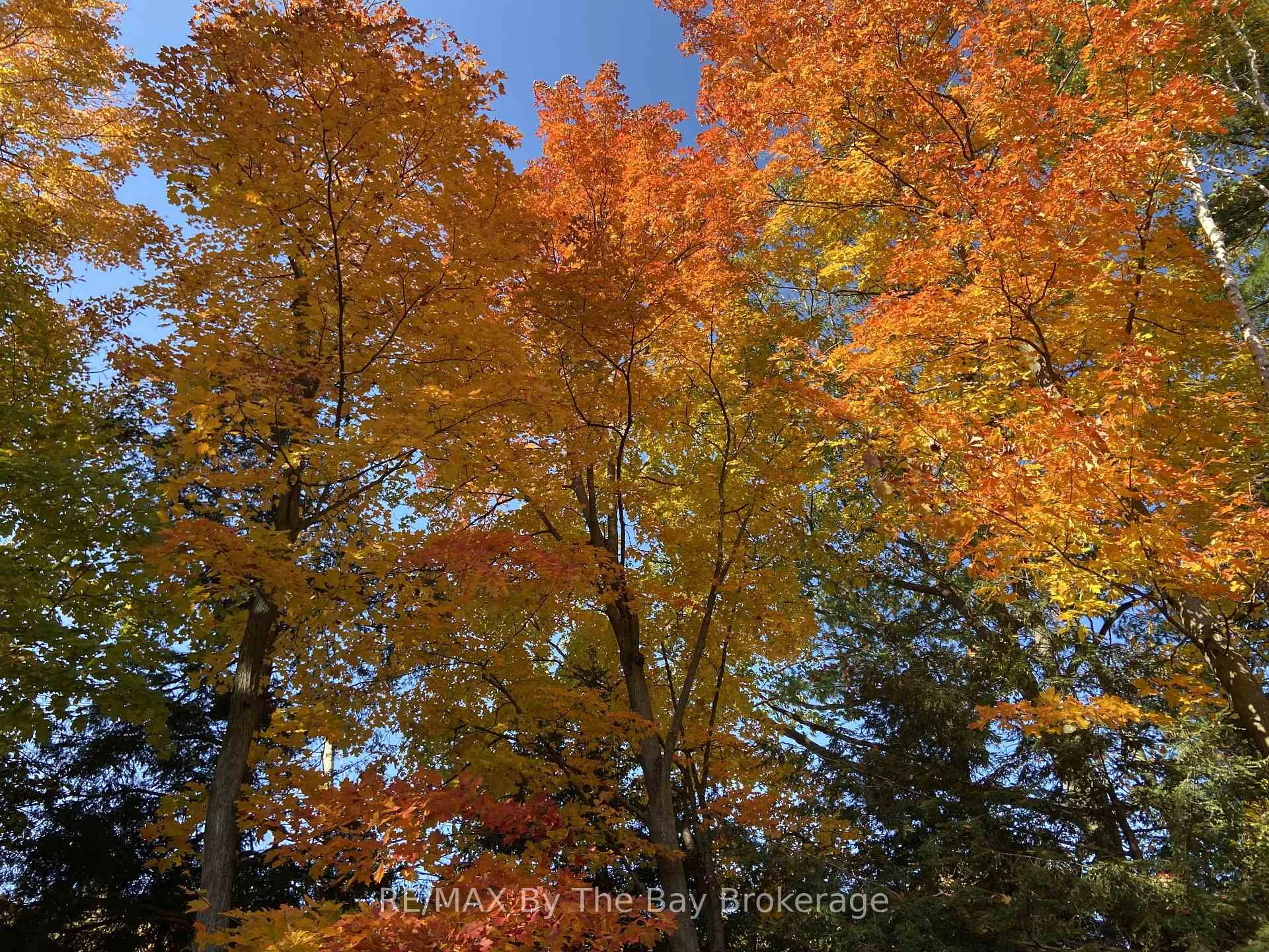Photo 55 of 22 Downer Crescent, Wasaga Beach — HOMEH