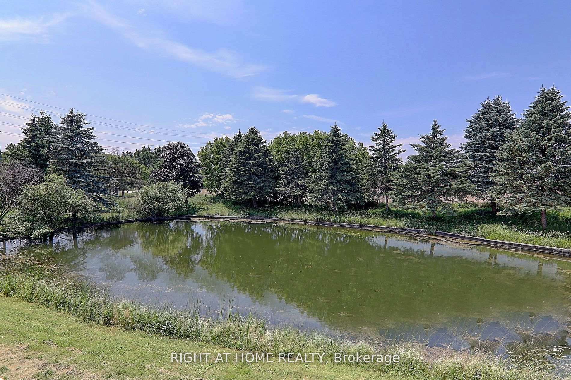 Photo 29 of 1008 Mount Albert Road, East Gwillimbury, Rural East Gwillimbury — HOMEH
