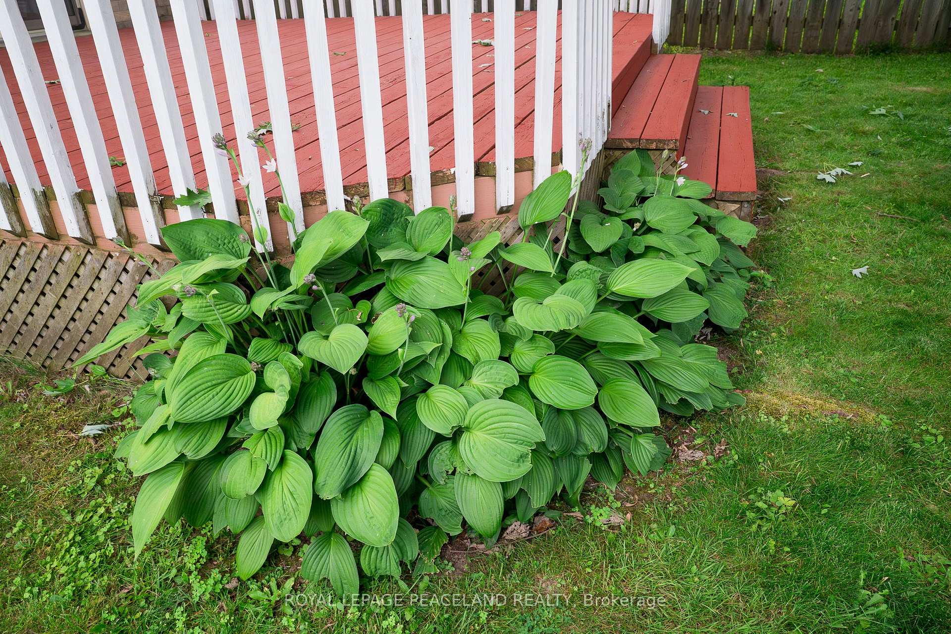 Photo 5 of 543 Drummerhill Crescent, Waterloo, Westvale — HOMEH