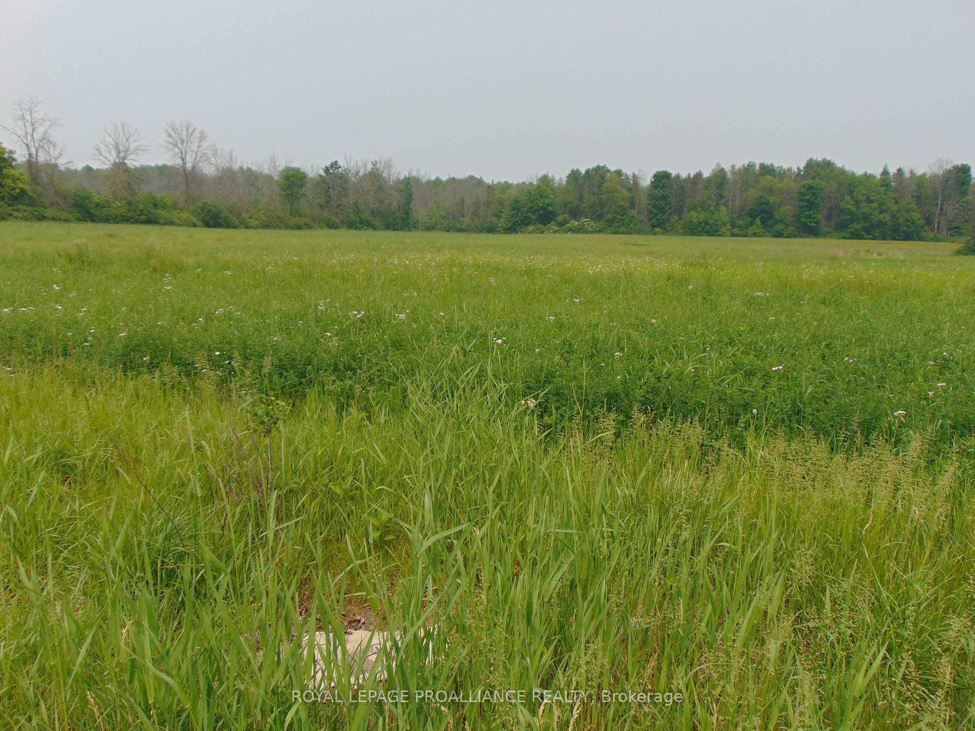 Photo 2 of 00 Charleville Road N, Augusta, Augusta Twp — HOMEH