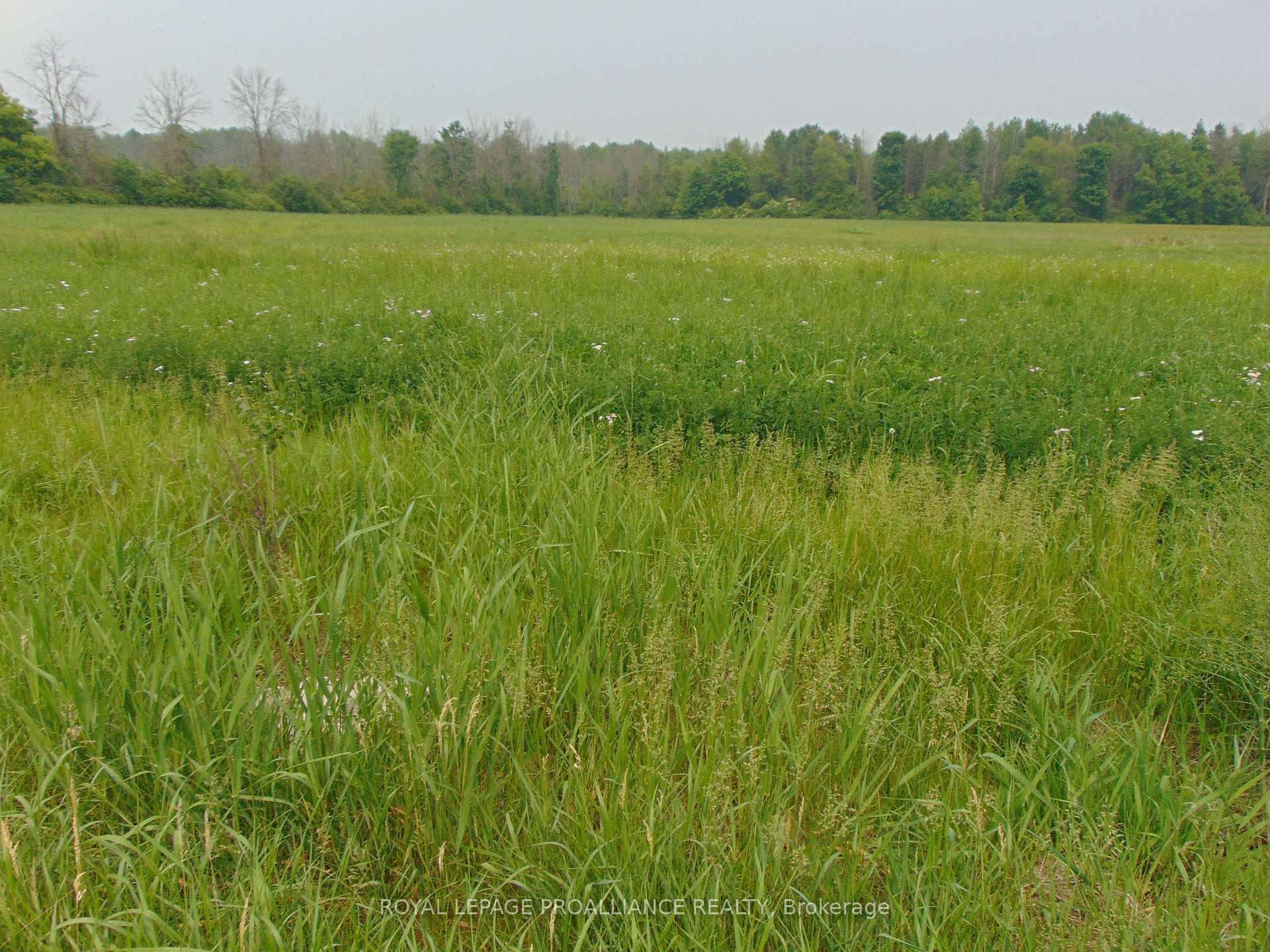 Photo 3 of 00 Charleville Road N, Augusta, Augusta Twp — HOMEH