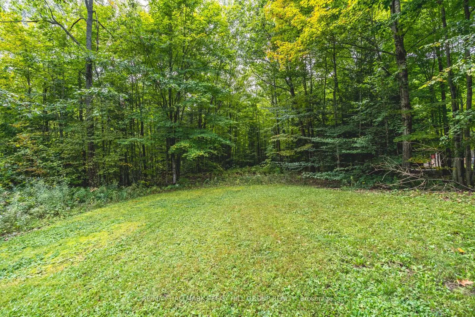Photo 23 of 2994 Wasdell Falls Road, Severn, Washago — HOMEH