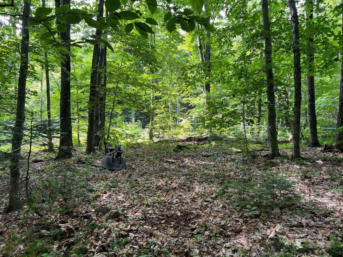Photo 2 of 99 Forest View Road, Bancroft, Bancroft Ward — HOMEH