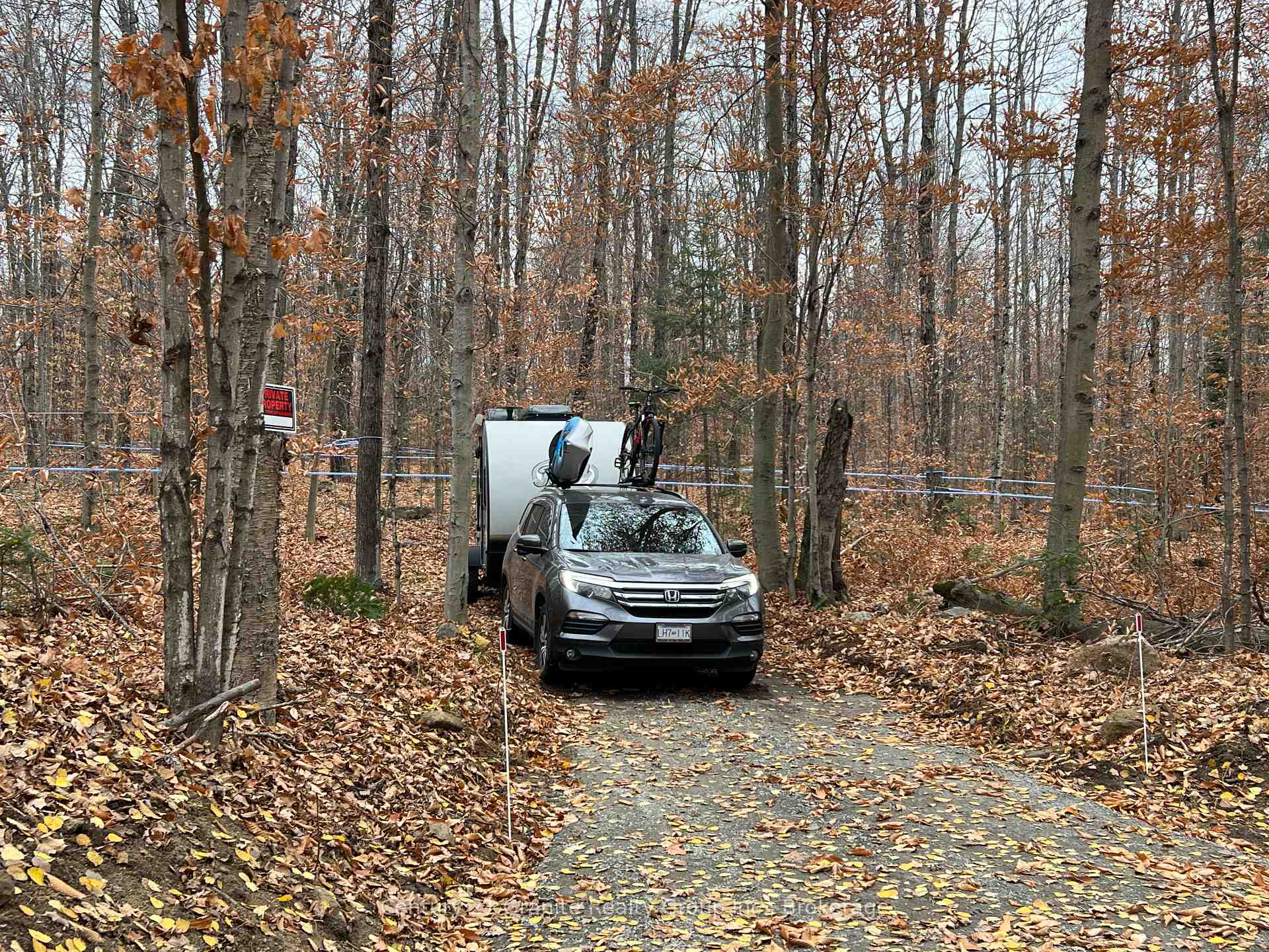 Photo 6 of 99 Forest View Road, Bancroft, Bancroft Ward — HOMEH