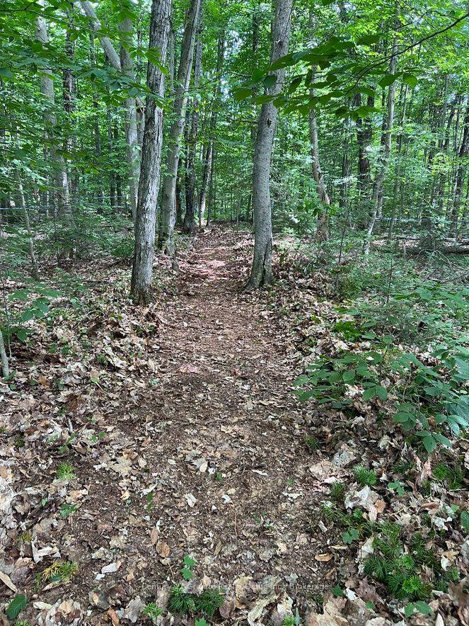 Photo 19 of 99 Forest View Road, Bancroft, Bancroft Ward — HOMEH