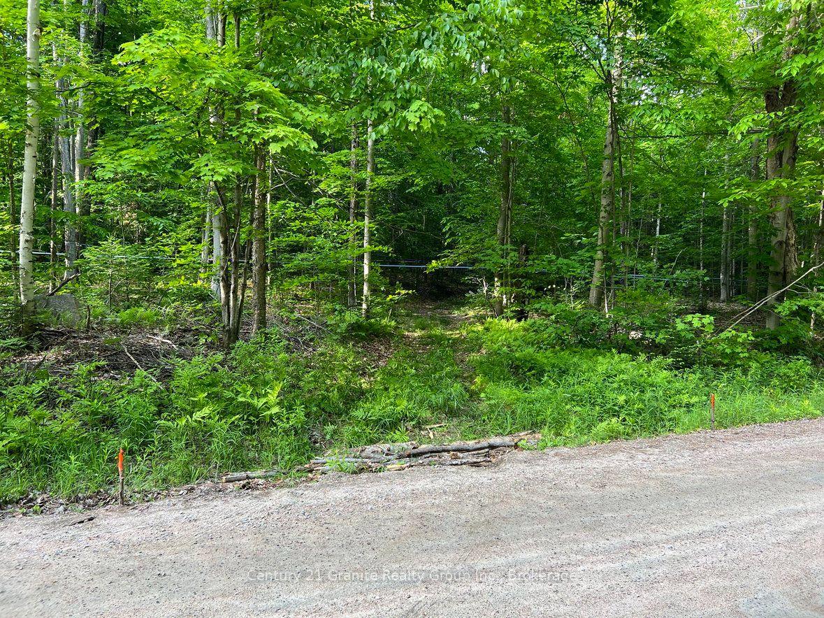 Photo 23 of 99 Forest View Road, Bancroft, Bancroft Ward — HOMEH