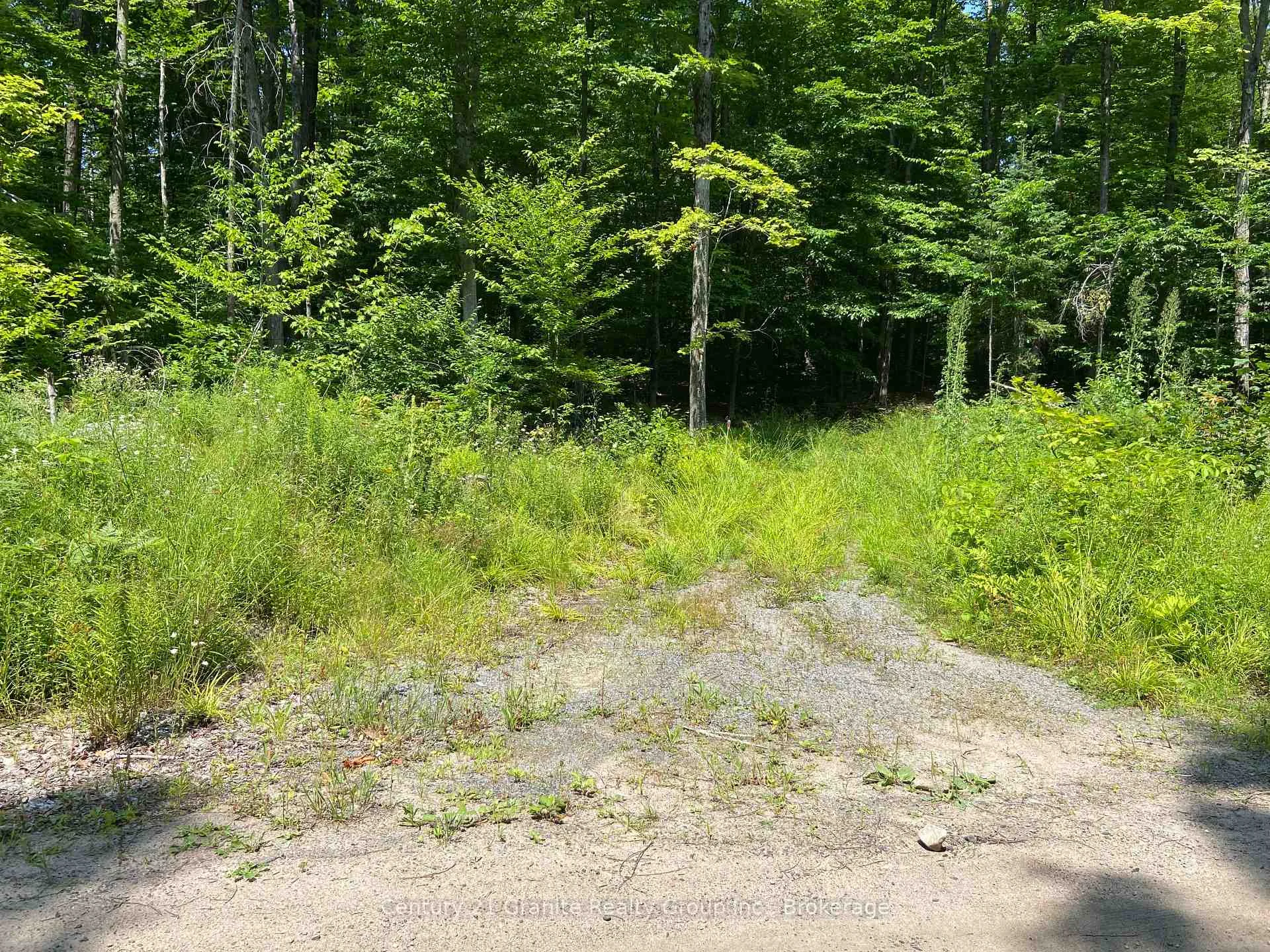 Photo 24 of 99 Forest View Road, Bancroft, Bancroft Ward — HOMEH