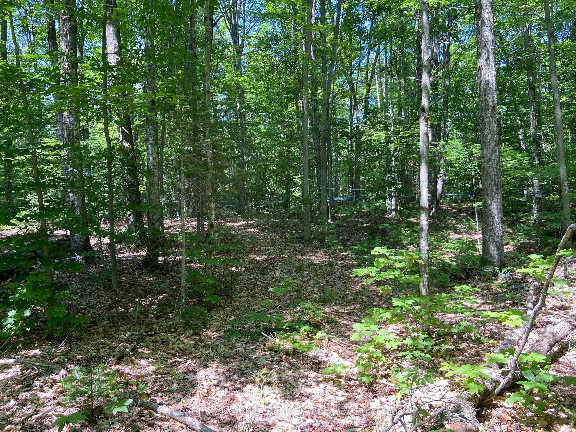 Photo 26 of 99 Forest View Road, Bancroft, Bancroft Ward — HOMEH