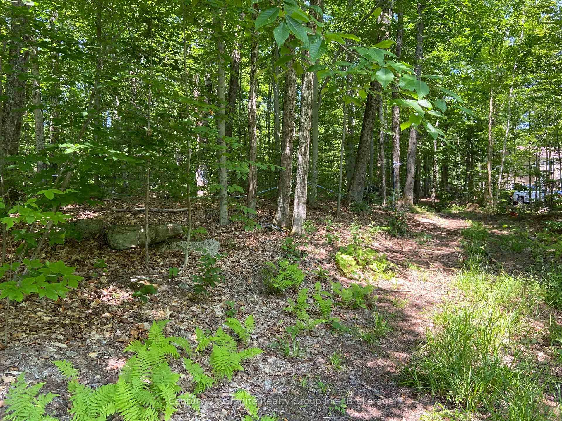Photo 27 of 99 Forest View Road, Bancroft, Bancroft Ward — HOMEH