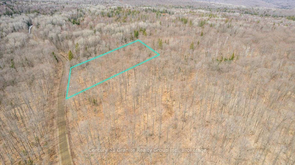 Photo 3 of 99 Forest View Road, Bancroft, Bancroft Ward — HOMEH
