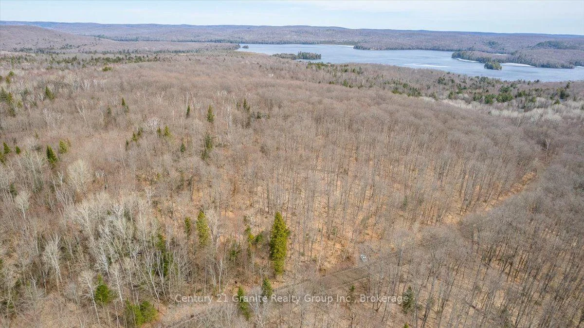 Photo 28 of 99 Forest View Road, Bancroft, Bancroft Ward — HOMEH