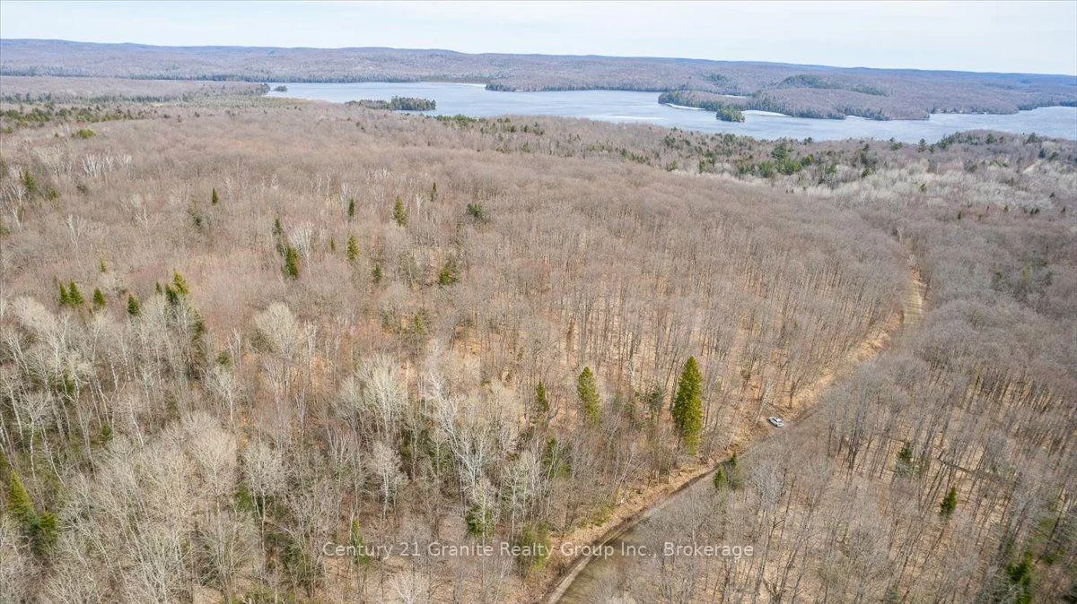 Photo 29 of 99 Forest View Road, Bancroft, Bancroft Ward — HOMEH