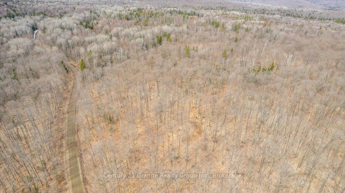 Photo 30 of 99 Forest View Road, Bancroft, Bancroft Ward — HOMEH