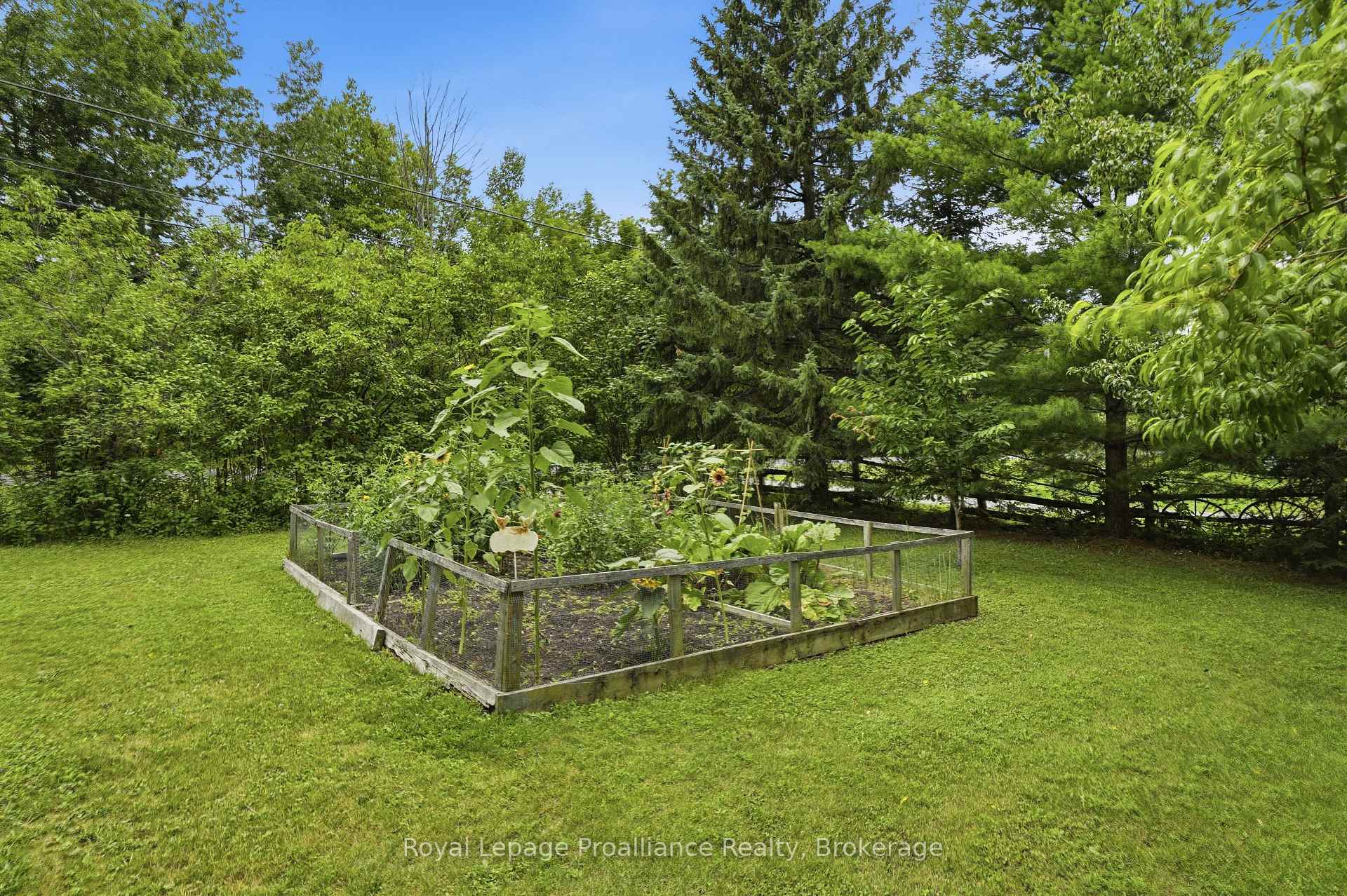 Photo 34 of 384 Carson Road, Centre Hastings — HOMEH