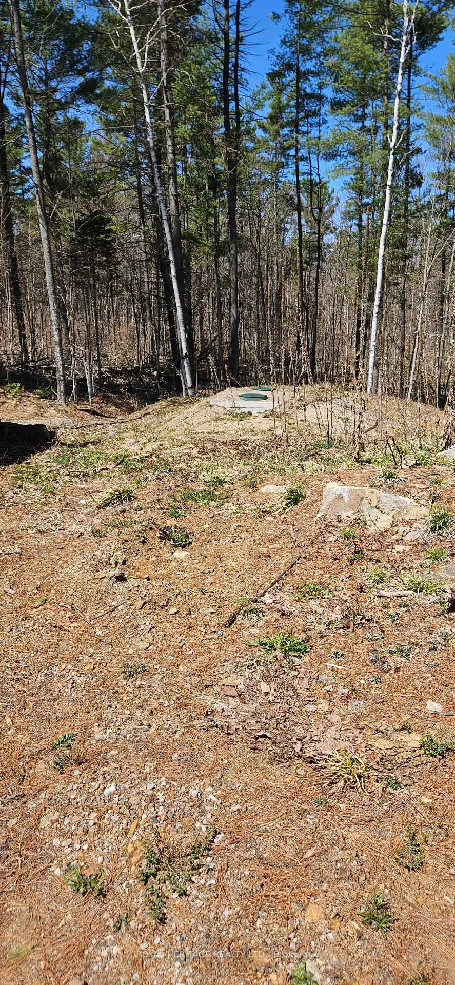 Photo 17 of 1061 Gull Lake Road, Frontenac, Frontenac North — HOMEH