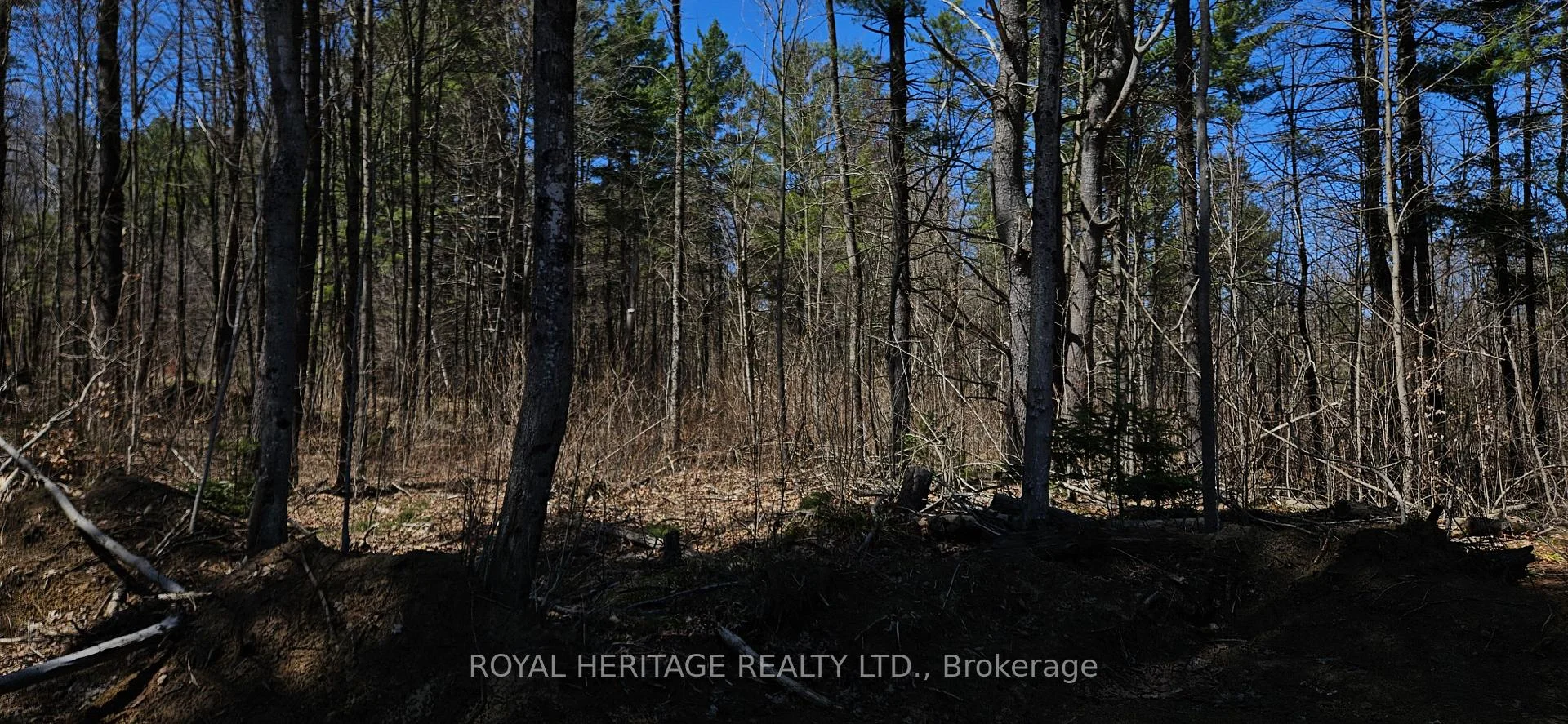 Photo 20 of 1061 Gull Lake Road, Frontenac, Frontenac North — HOMEH