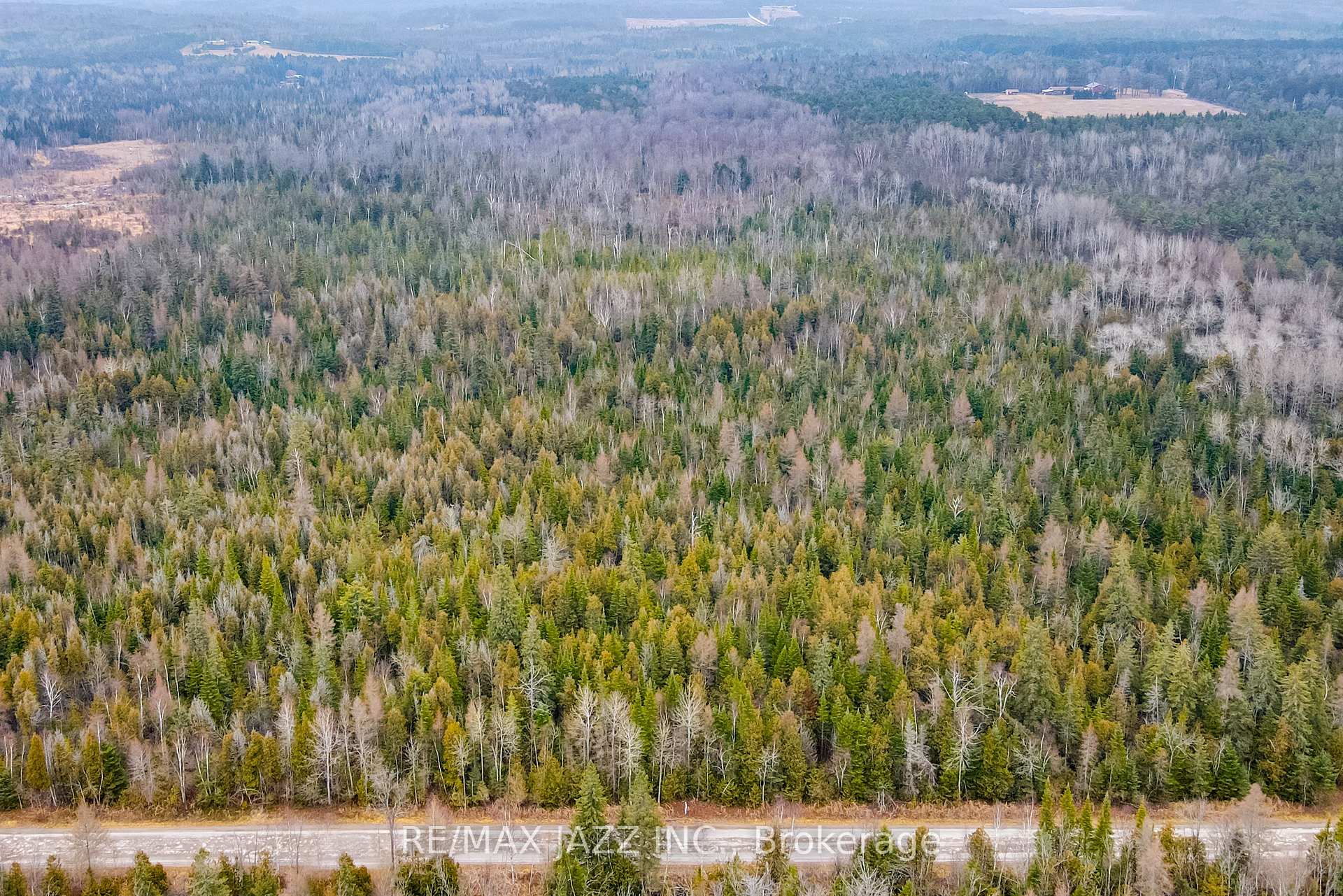 Photo 5 of Ballyduff Road, Kawartha Lakes, Manvers — HOMEH