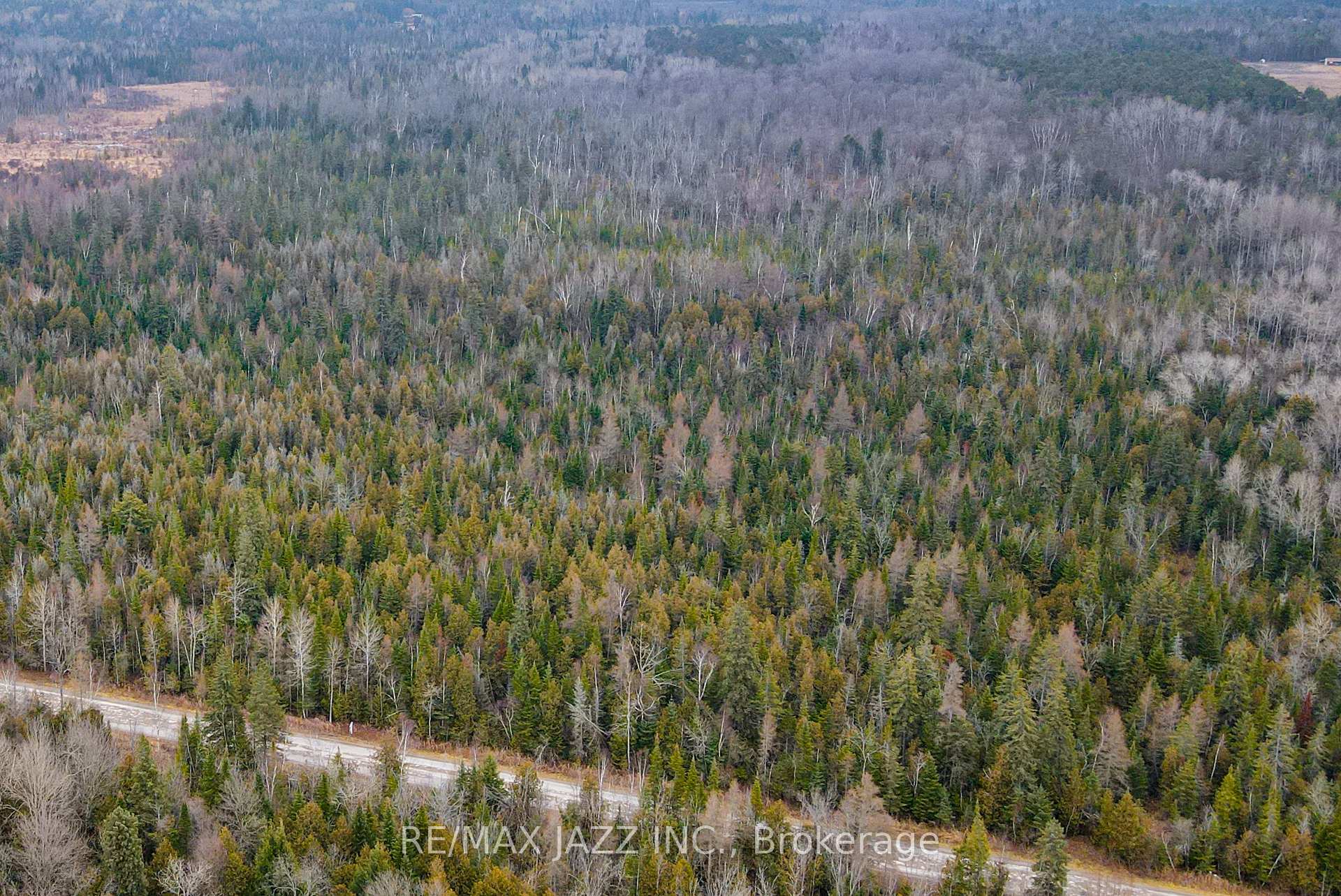 Photo 6 of Ballyduff Road, Kawartha Lakes, Manvers — HOMEH