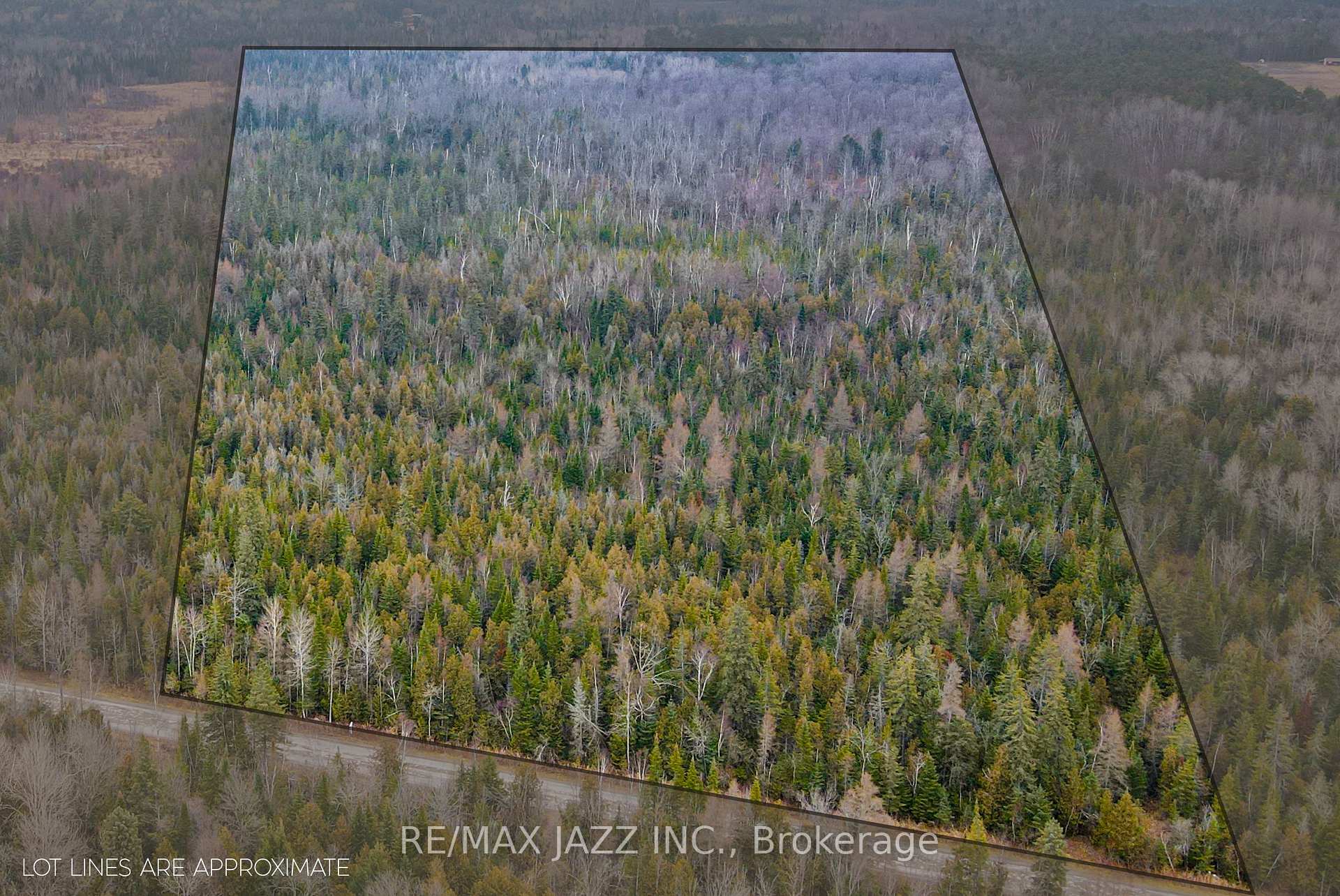 Photo 7 of Ballyduff Road, Kawartha Lakes, Manvers — HOMEH