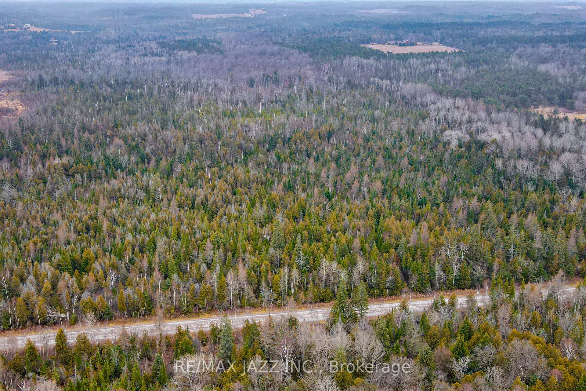 Photo 8 of Ballyduff Road, Kawartha Lakes, Manvers — HOMEH