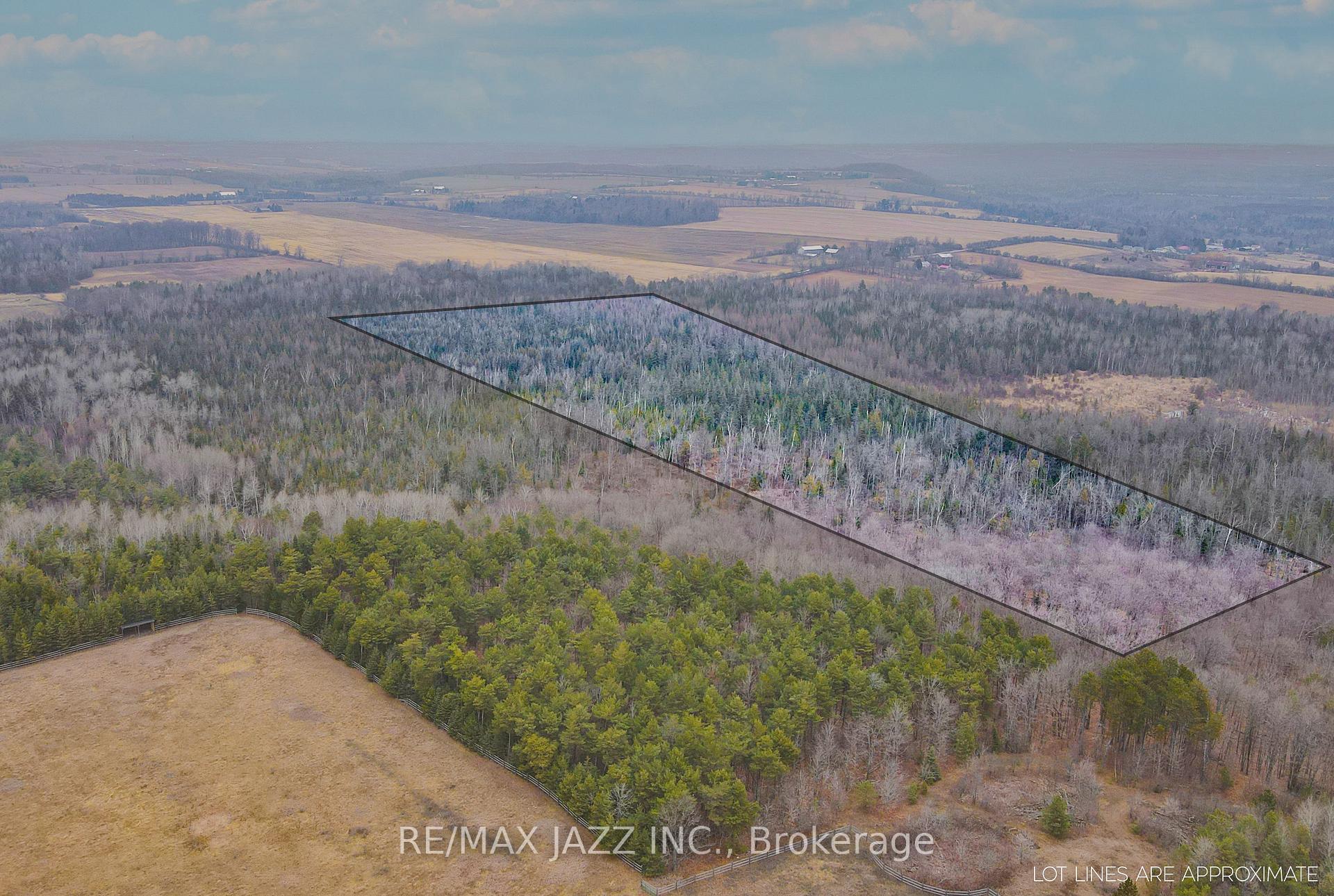 Photo 14 of Ballyduff Road, Kawartha Lakes, Manvers — HOMEH