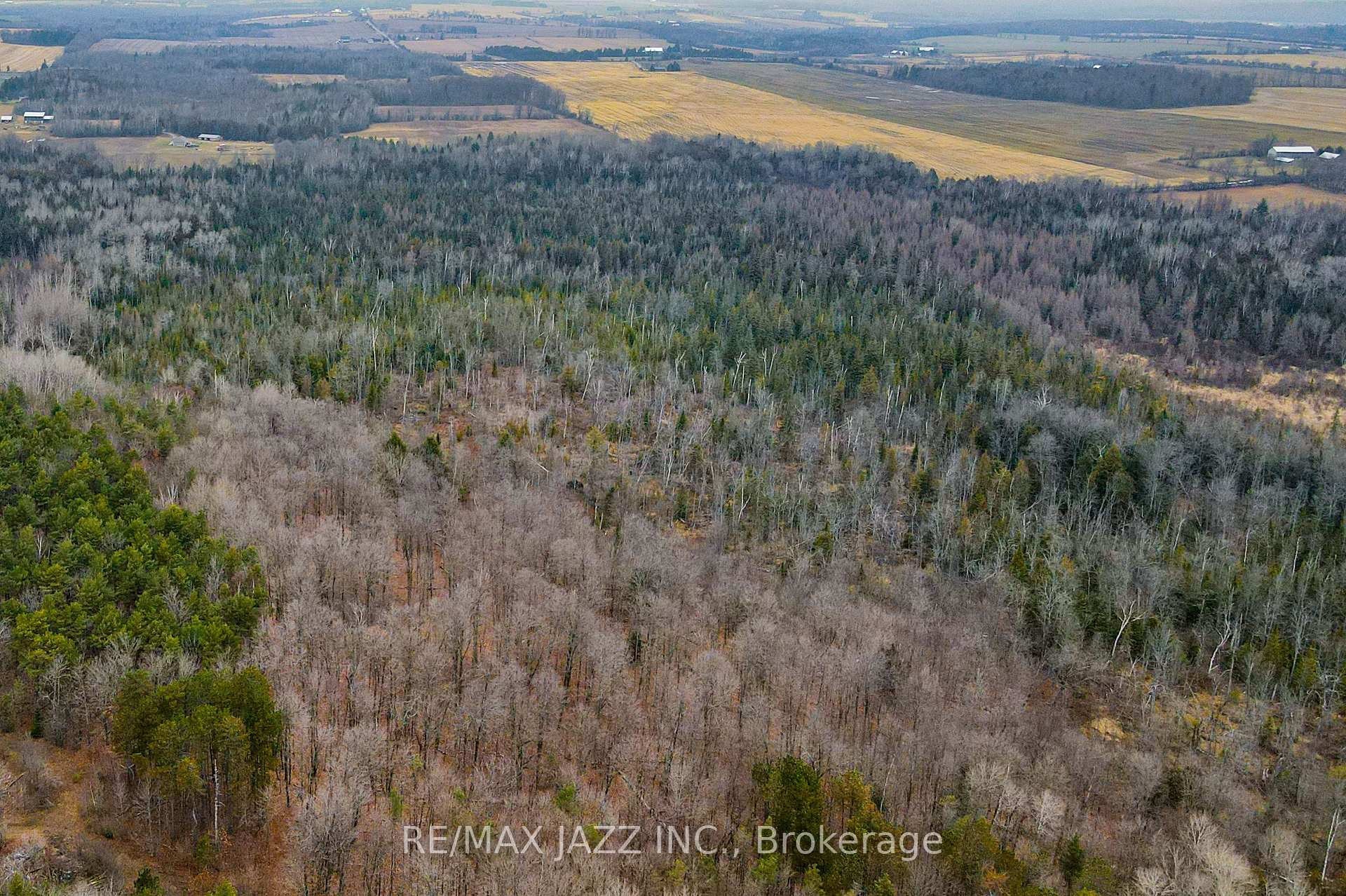 Photo 15 of Ballyduff Road, Kawartha Lakes, Manvers — HOMEH