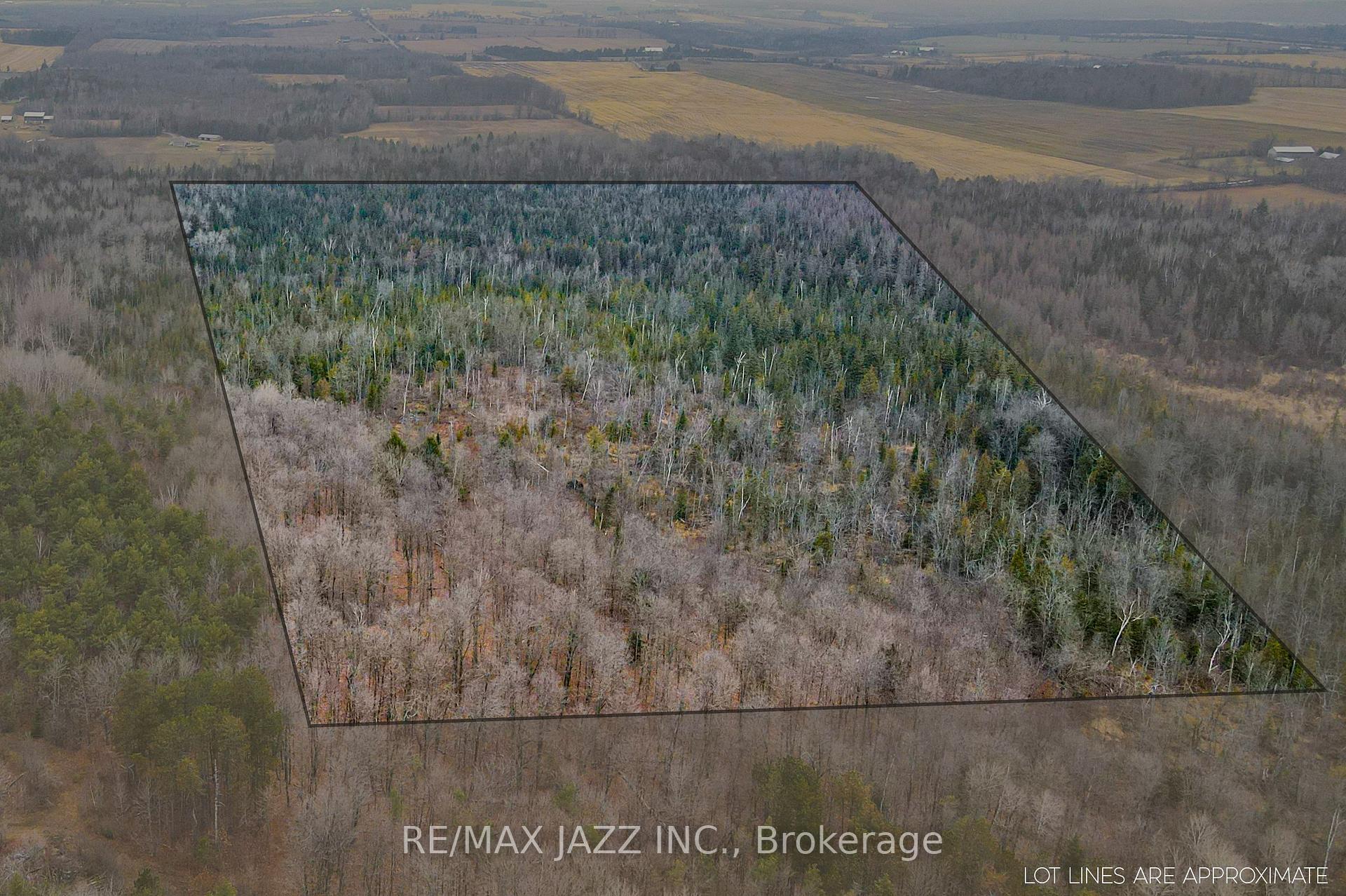 Photo 16 of Ballyduff Road, Kawartha Lakes, Manvers — HOMEH