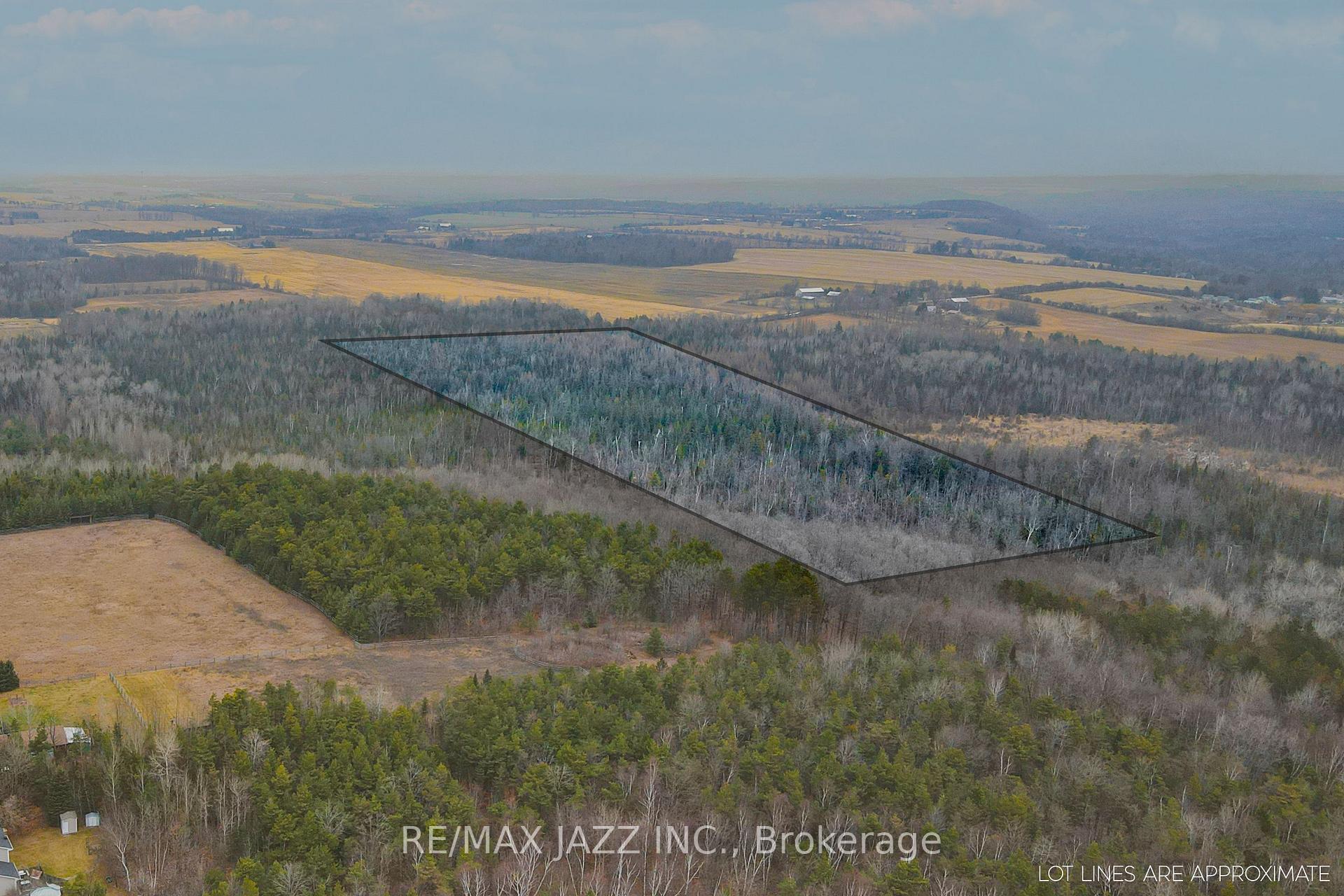 Photo 18 of Ballyduff Road, Kawartha Lakes, Manvers — HOMEH