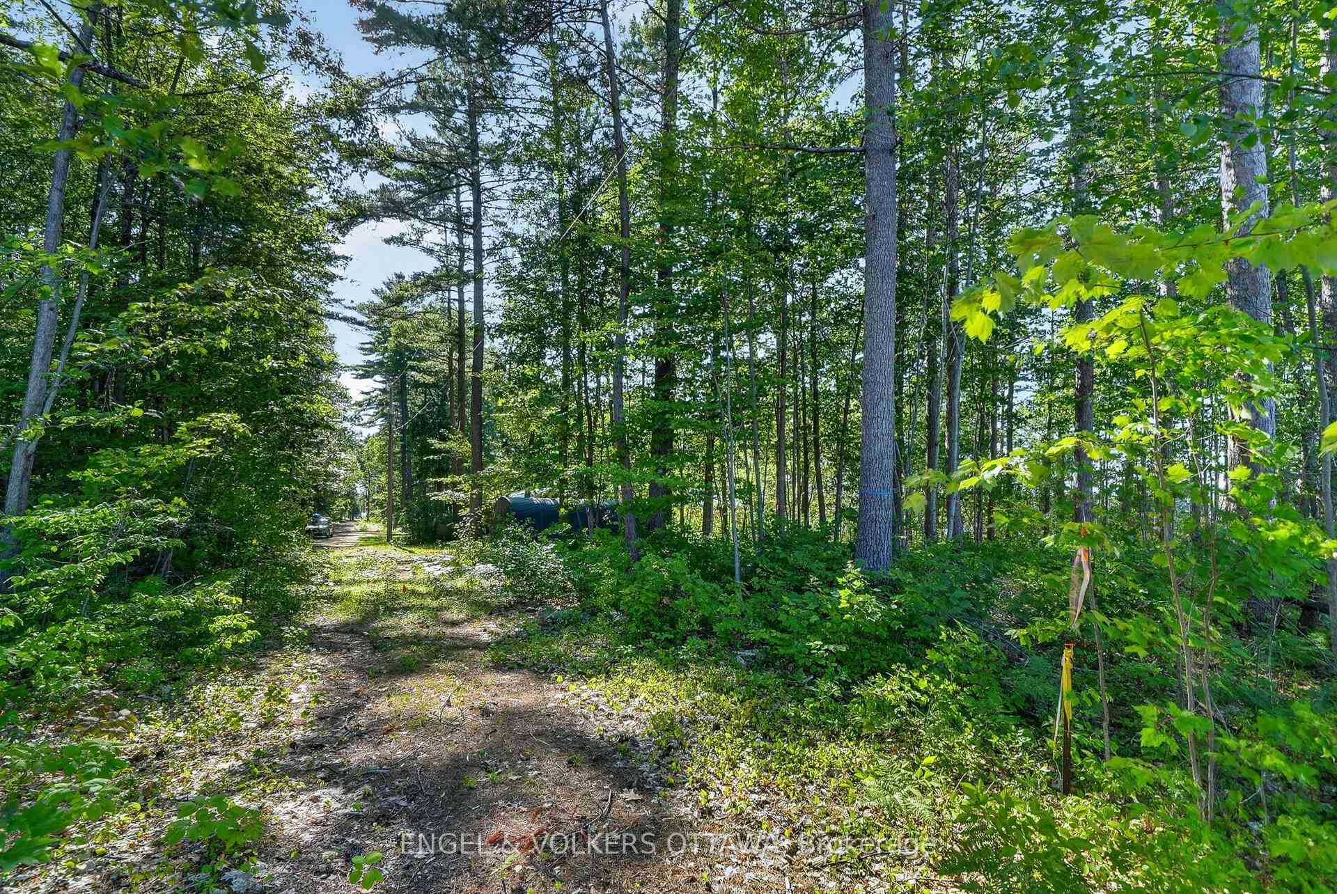 Photo 6 of 2221A Gratton Trail, Whitewater Region, Whitewater Region — HOMEH