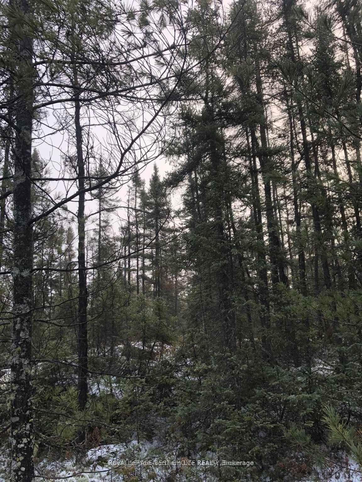 Photo 7 of CON 3 PT Lot 25, Coleman, Coleman Twp — HOMEH