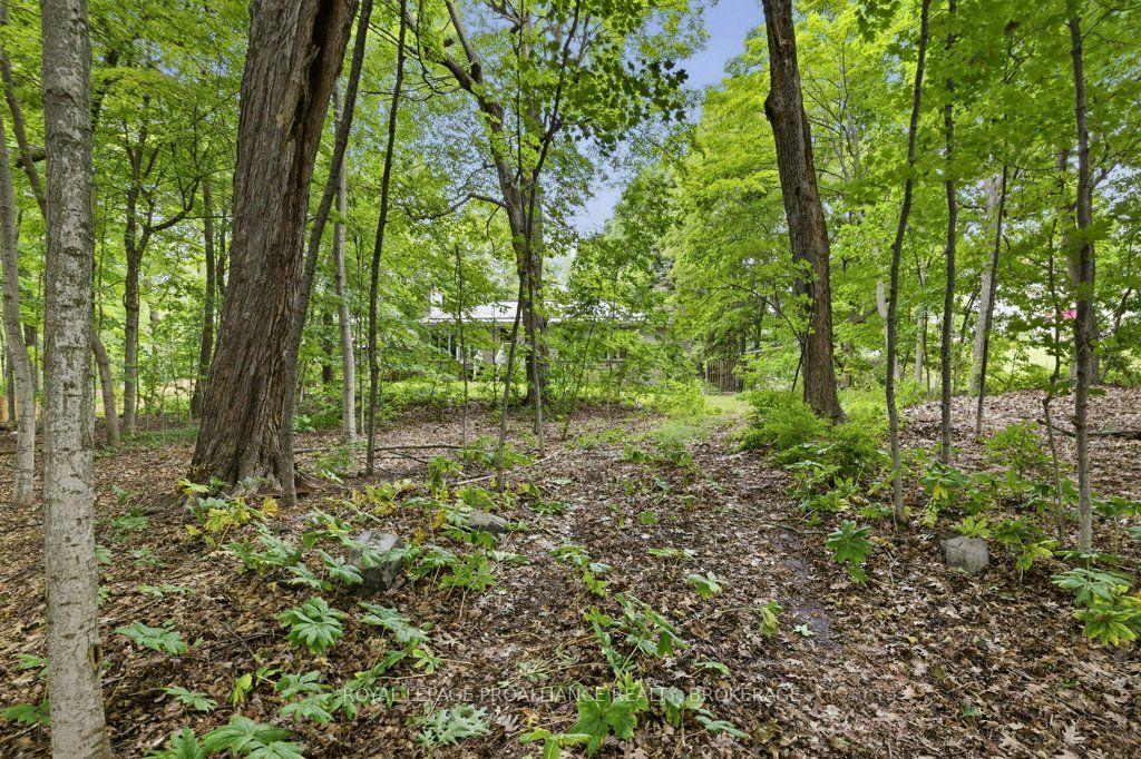 Photo 75 of 12 Oriole Lane, Kingston, Kingston East (Incl CFB Kingston) — HOMEH