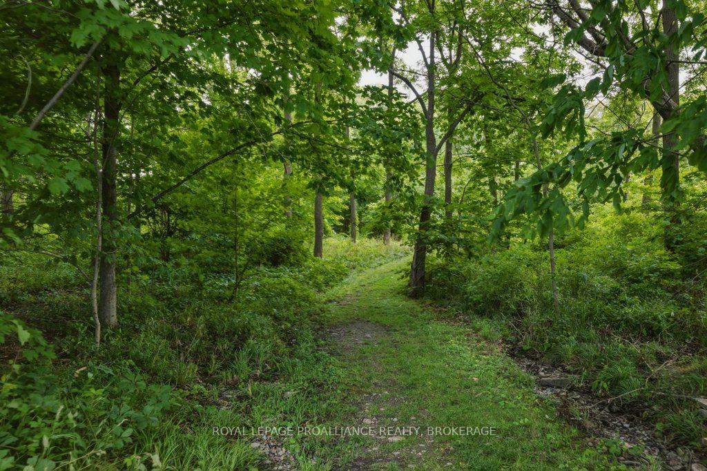 Photo 79 of 12 Oriole Lane, Kingston, Kingston East (Incl CFB Kingston) — HOMEH