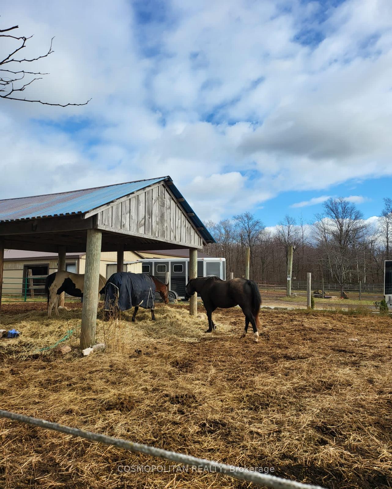 Photo 34 of 195 Woolverton Road, Grimsby, Grimsby Escarpment — HOMEH