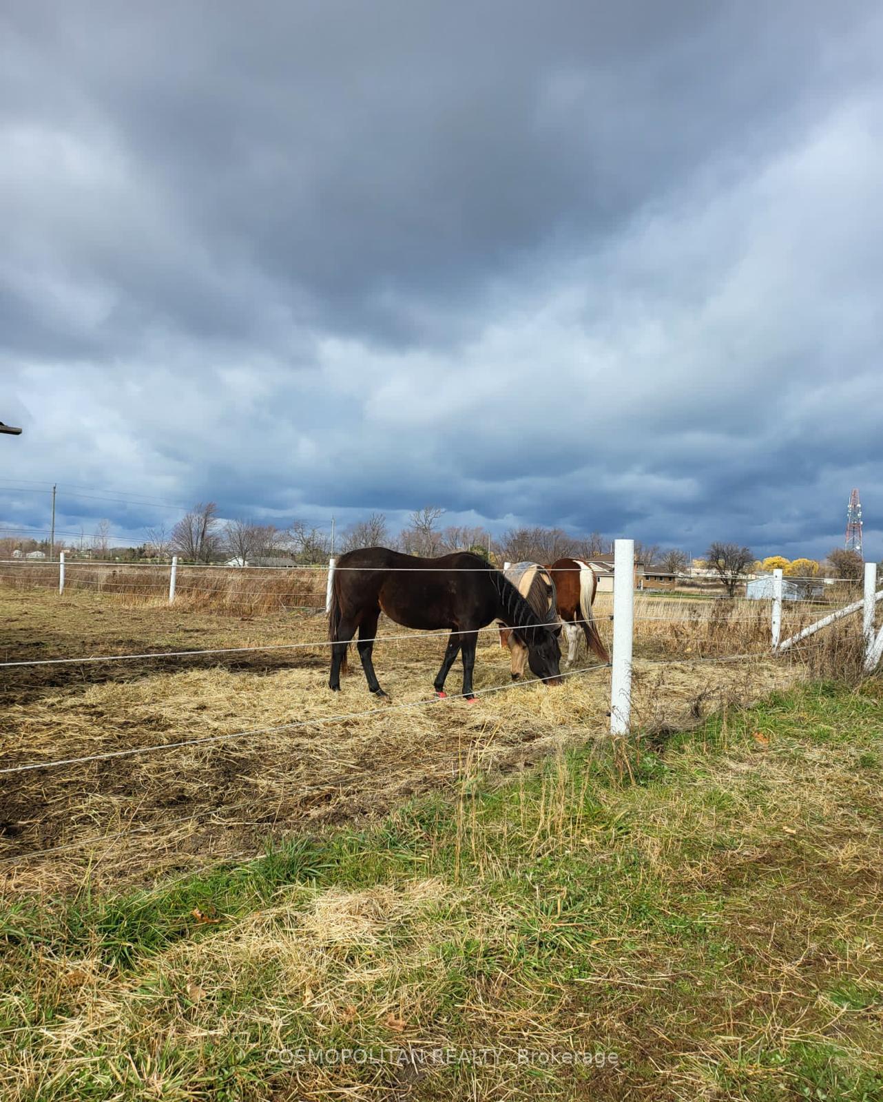 Photo 35 of 195 Woolverton Road, Grimsby, Grimsby Escarpment — HOMEH