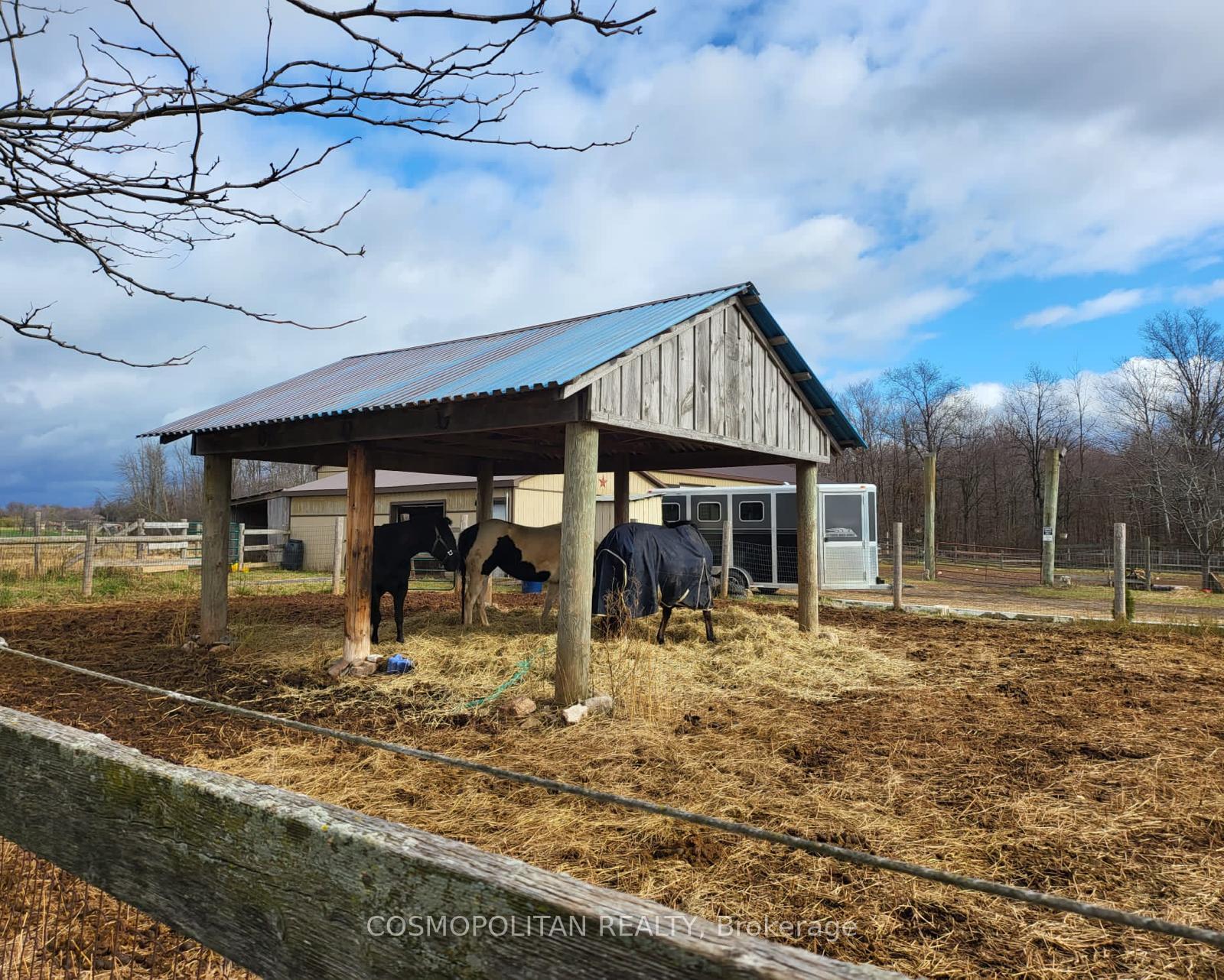 Photo 36 of 195 Woolverton Road, Grimsby, Grimsby Escarpment — HOMEH
