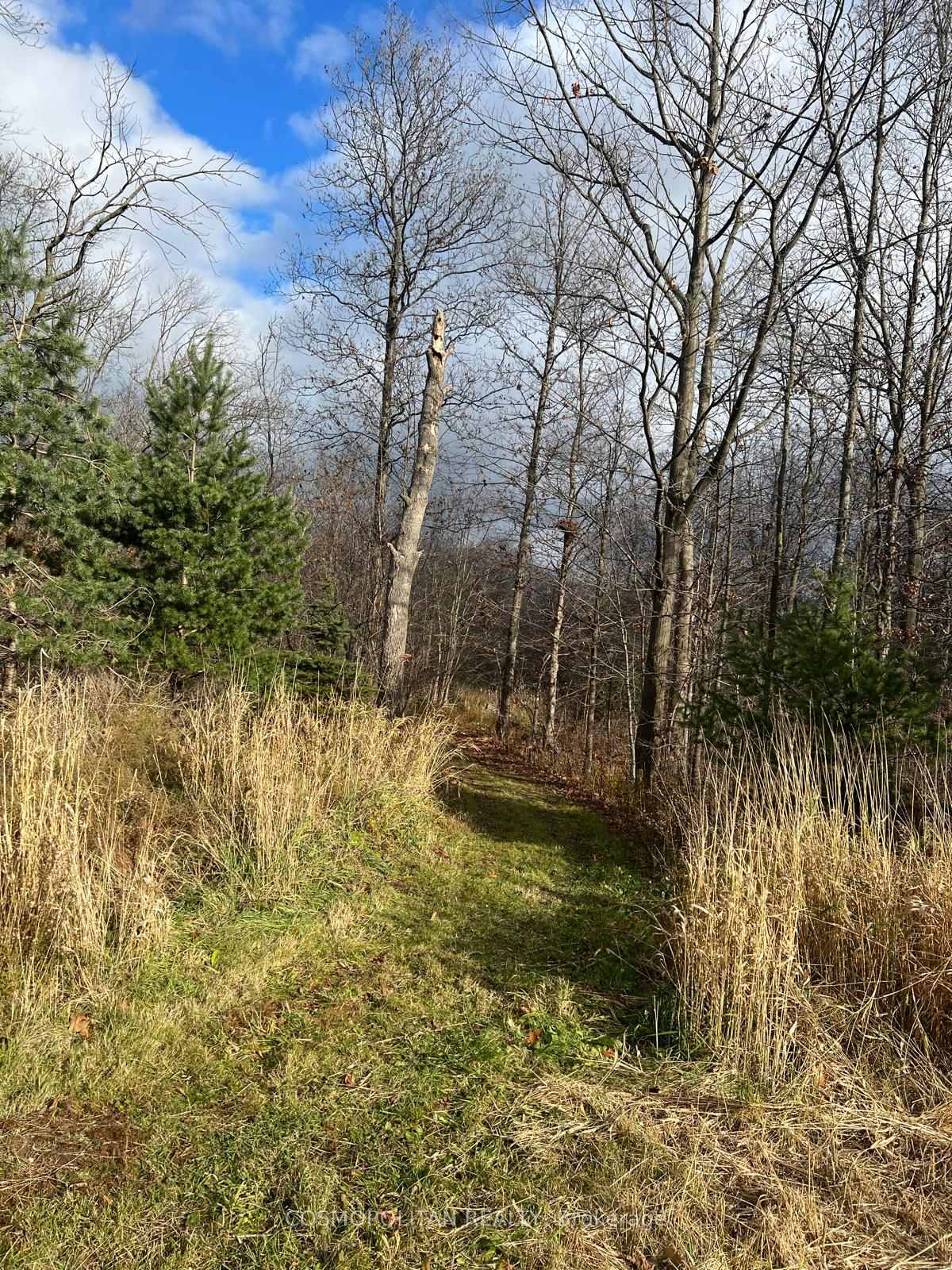 Photo 37 of 195 Woolverton Road, Grimsby, Grimsby Escarpment — HOMEH