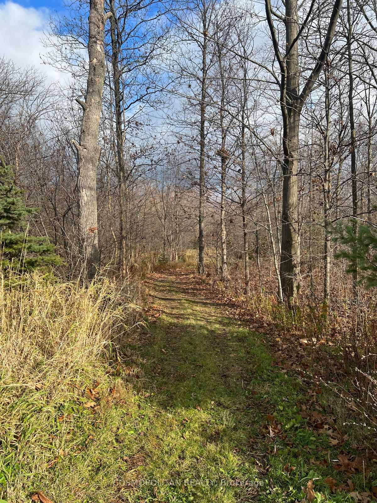 Photo 38 of 195 Woolverton Road, Grimsby, Grimsby Escarpment — HOMEH