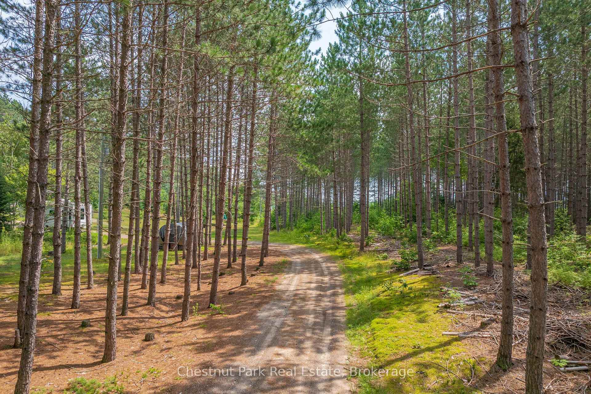 Photo 45 of 165 James Camp Road, Ryerson — HOMEH