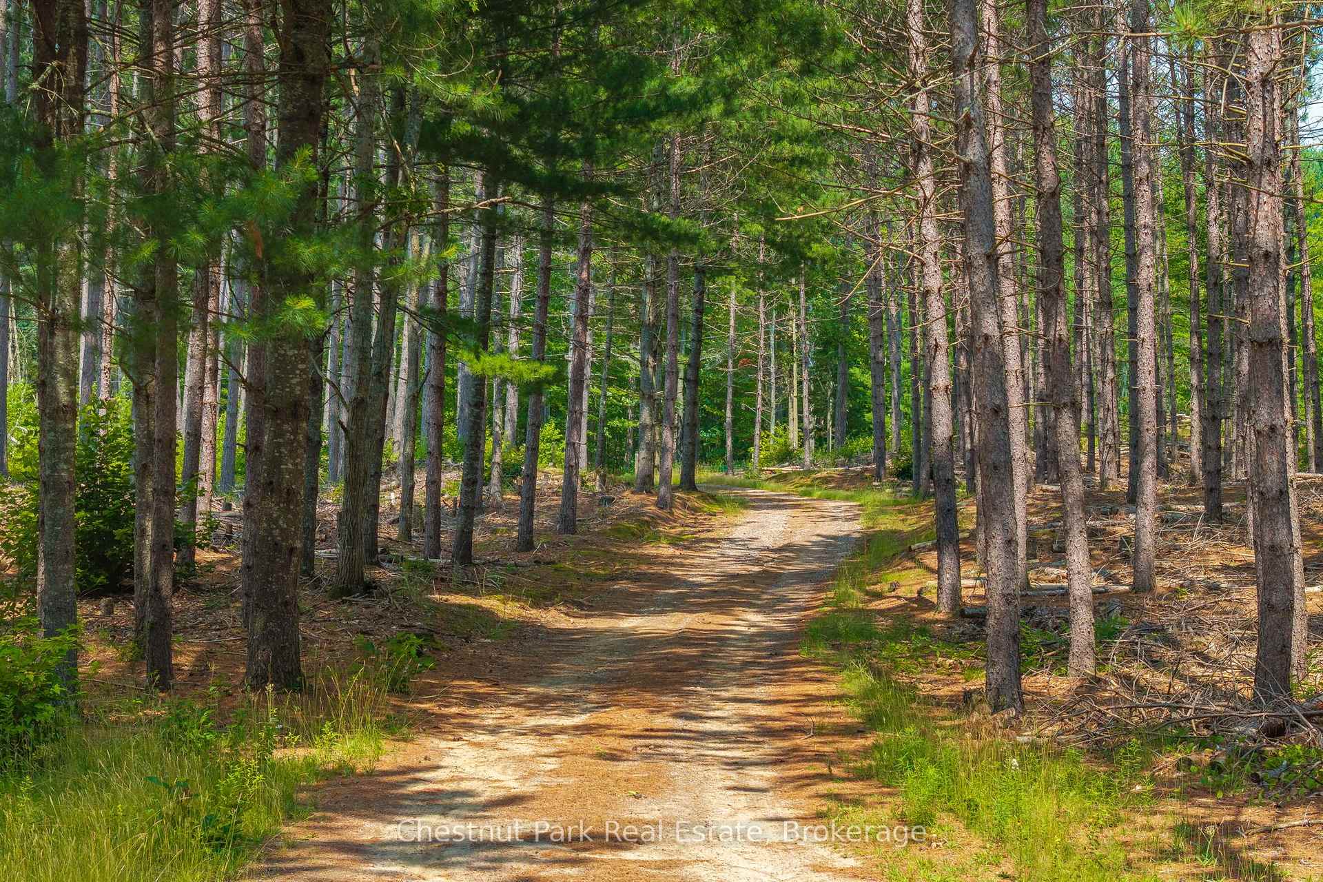 Photo 46 of 165 James Camp Road, Ryerson — HOMEH