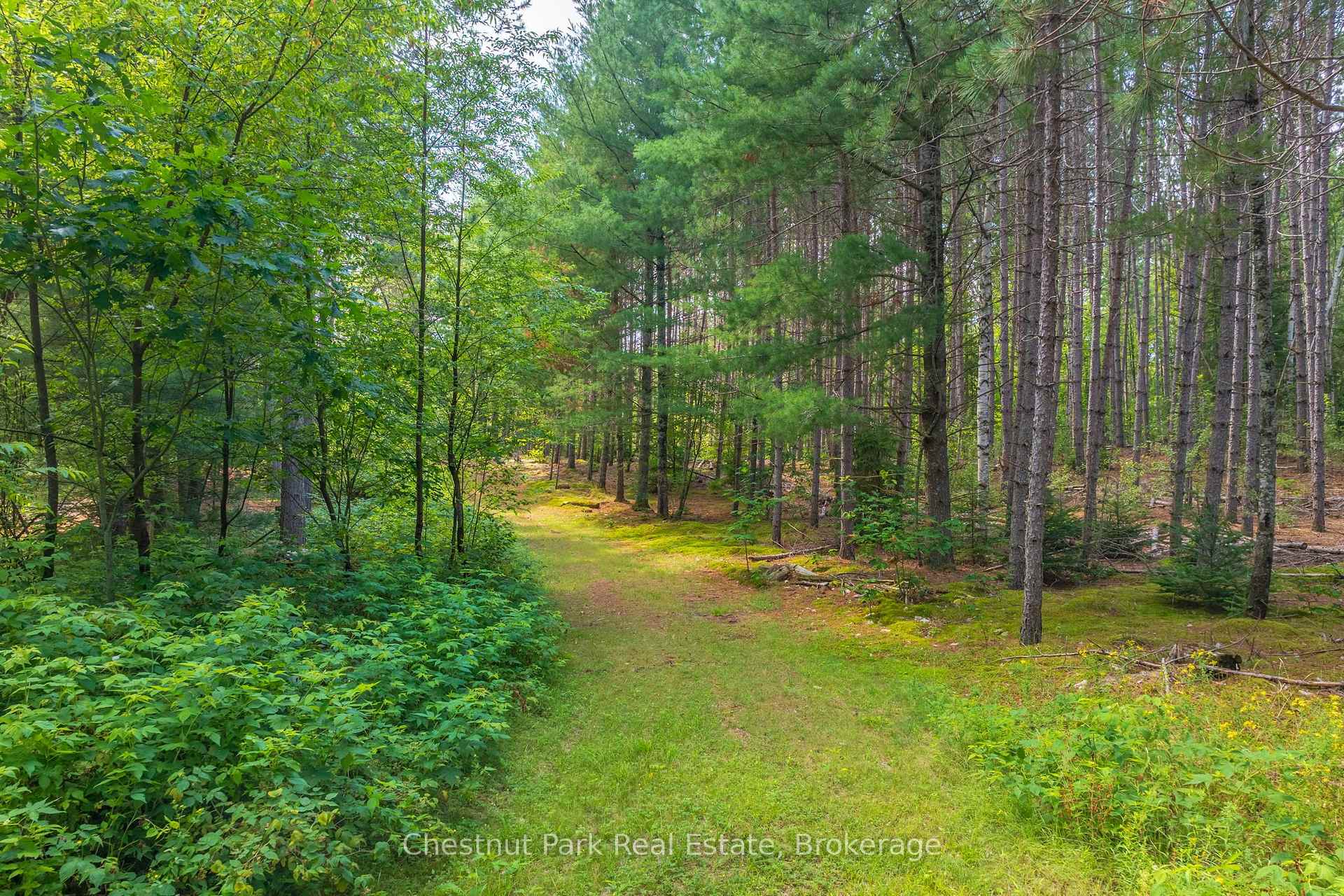 Photo 47 of 165 James Camp Road, Ryerson — HOMEH