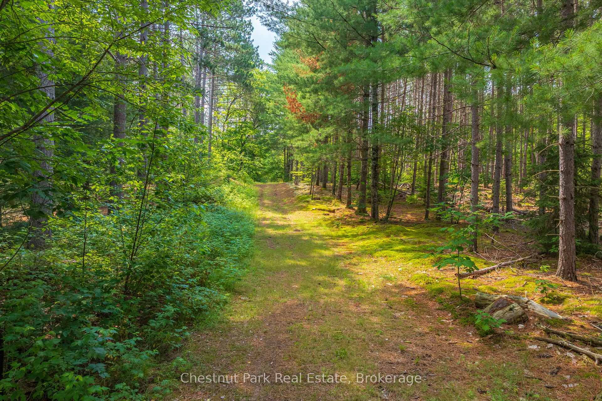 Photo 48 of 165 James Camp Road, Ryerson — HOMEH