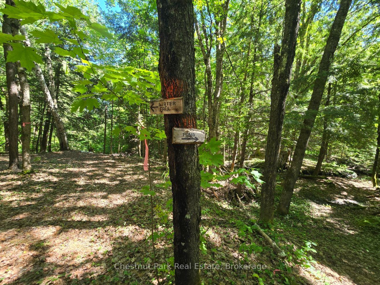 Photo 49 of 165 James Camp Road, Ryerson — HOMEH