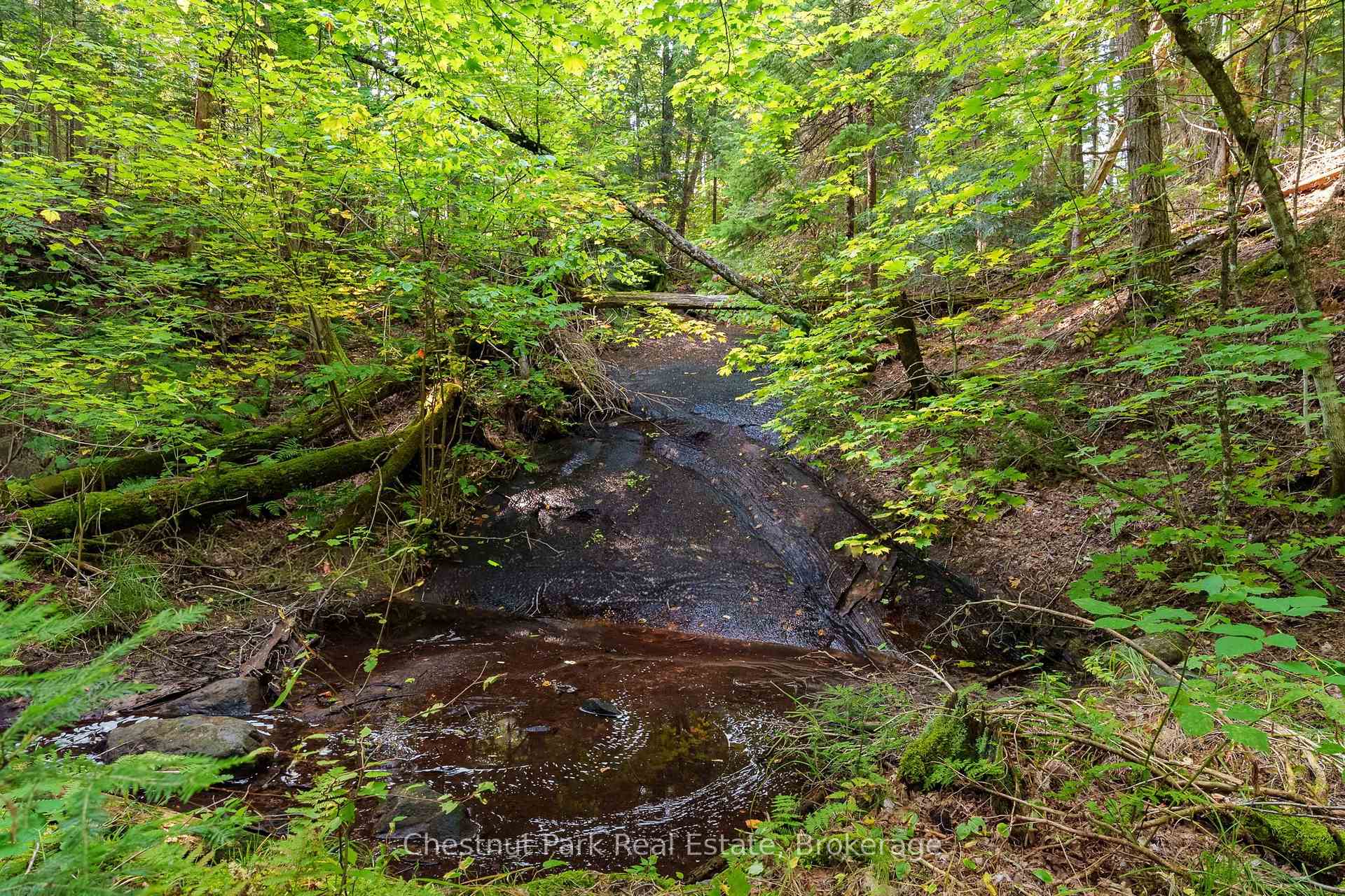Photo 50 of 165 James Camp Road, Ryerson — HOMEH